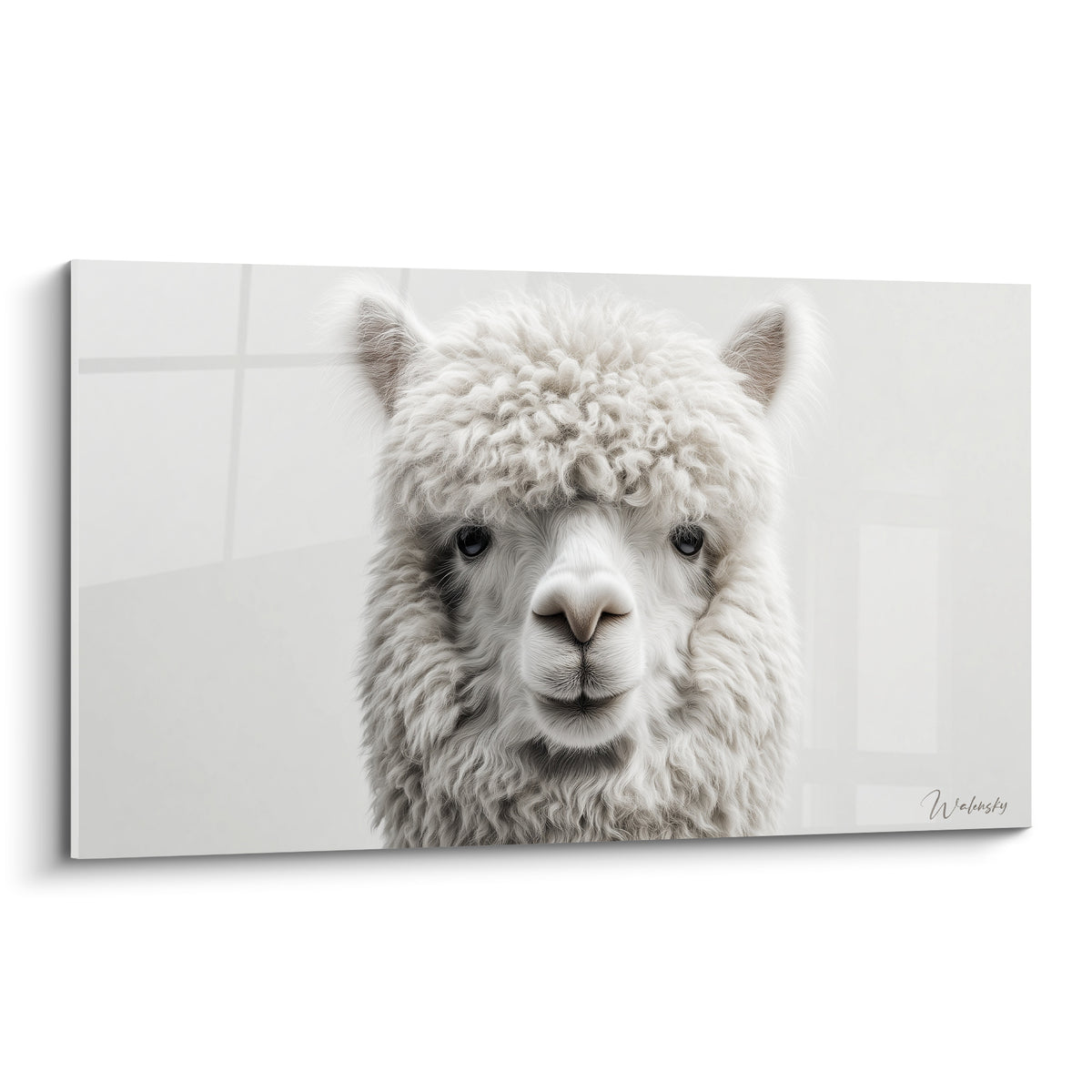 Lama blanc et gris à la toison bouclée, regard sombre et museau rosé, portrait frontal détaillé