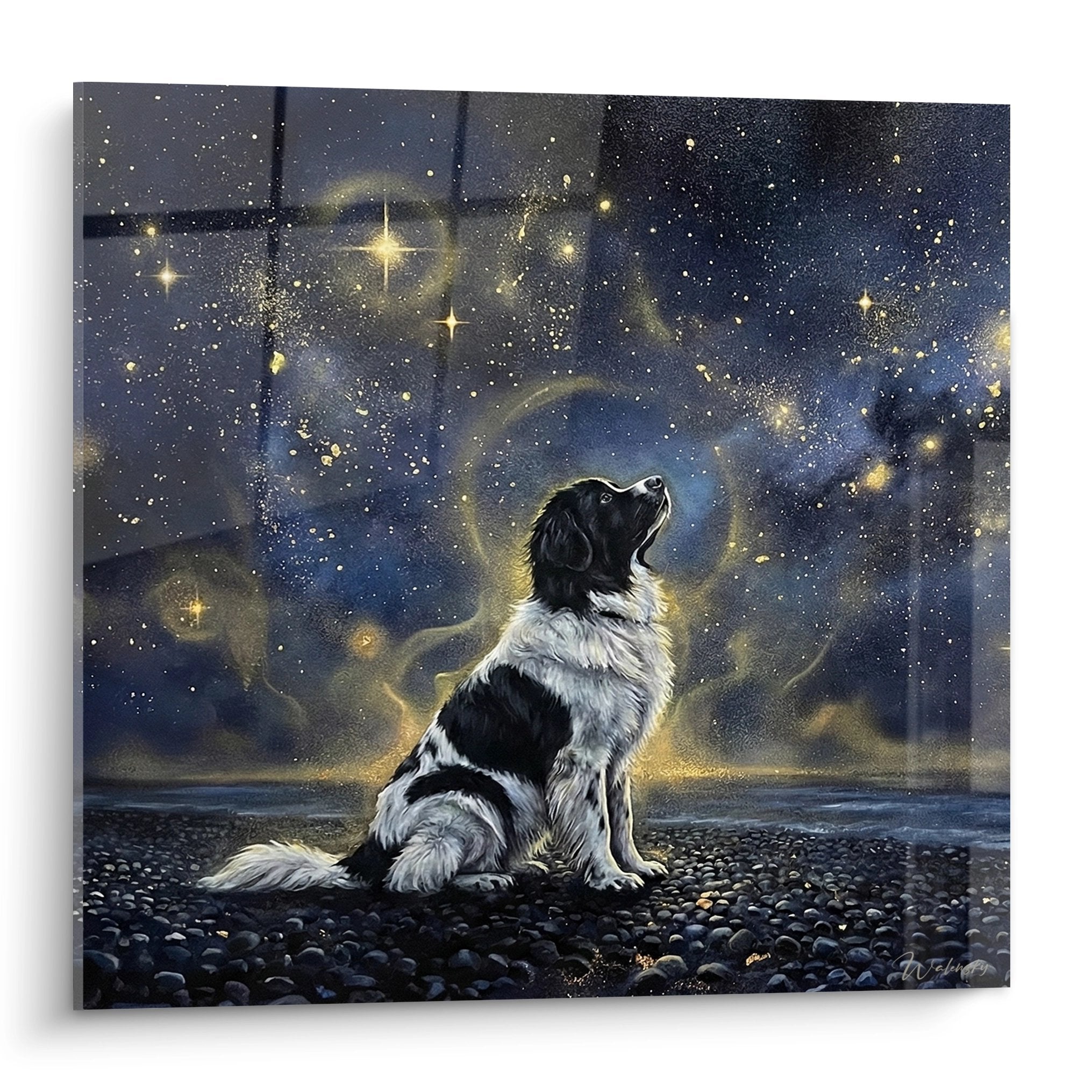 Tableau Landseer noir et blanc contemplant ciel etoile bleu dore sur plage galets sombres art animalier