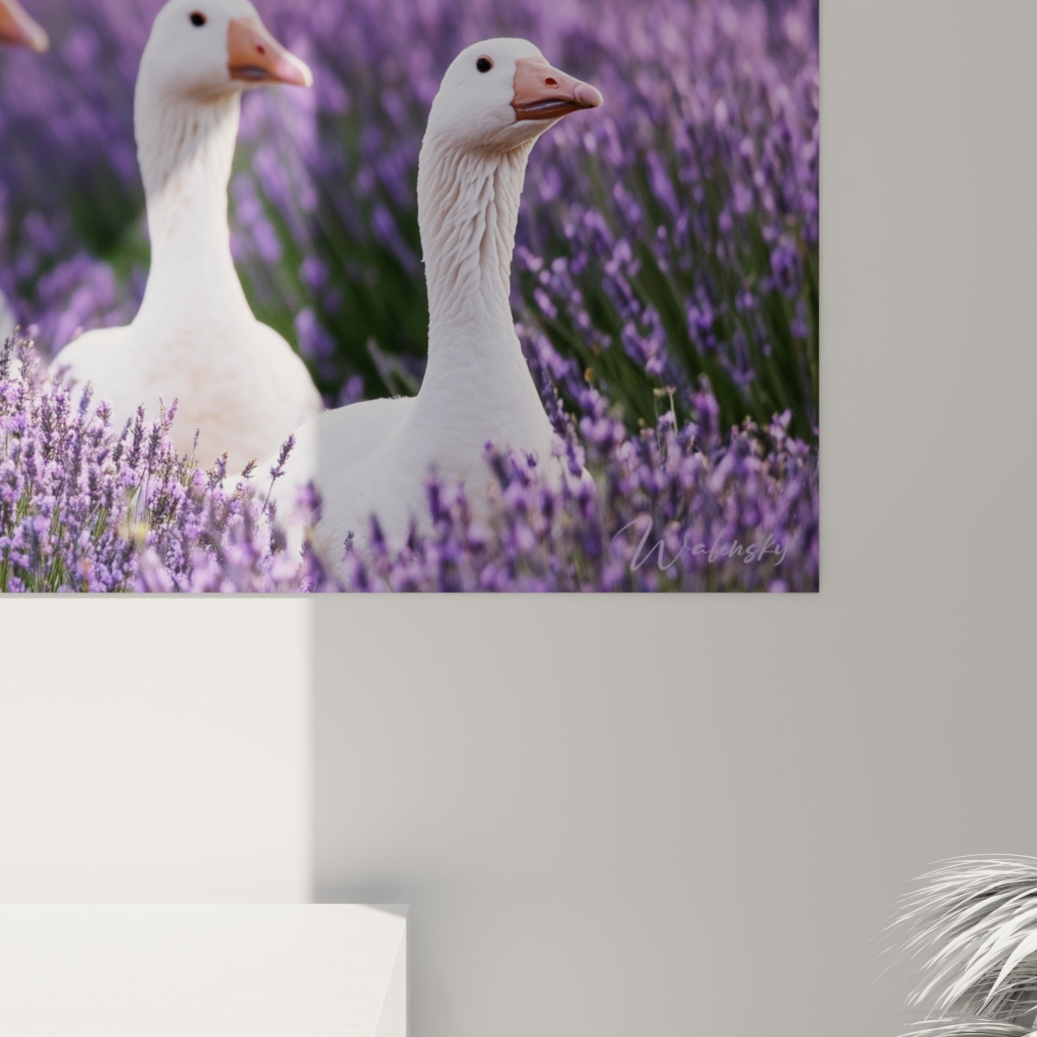 Détail du plumage blanc et des fleurs mauves granuleuses de la scène de lavande imprimée