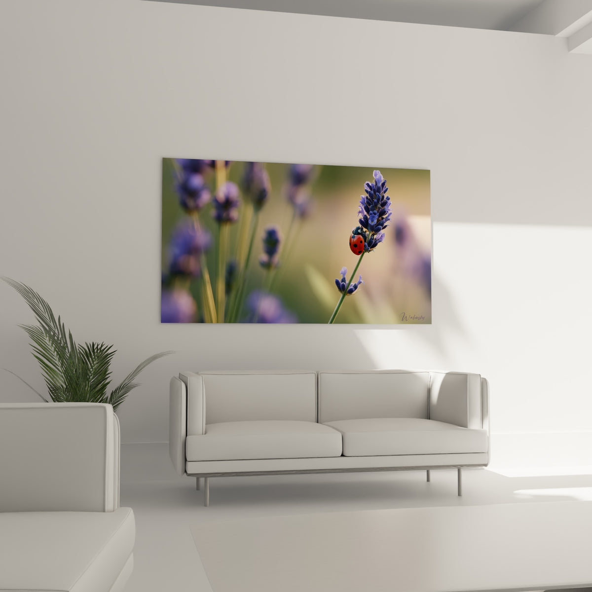Fleur de lavande violette et insecte rouge au-dessus d'un canapé dans un salon lumineux