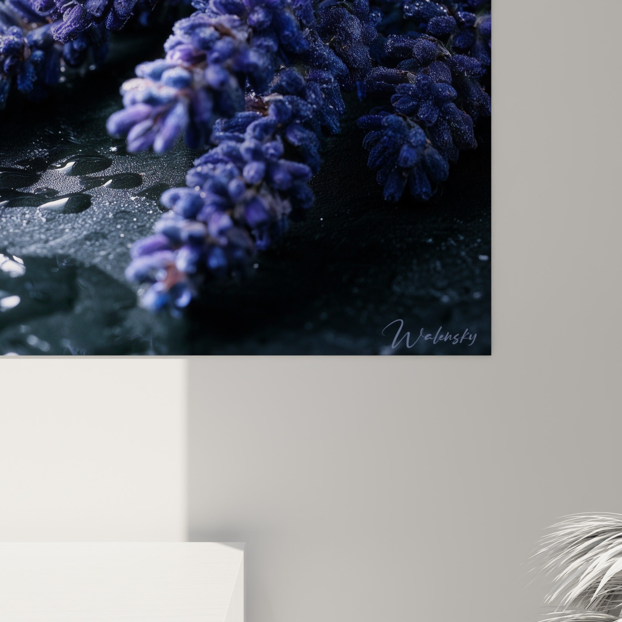 Détail des fleurons de lavande violette et gouttelettes d'eau, texture veloutée et grain de l'impression visible