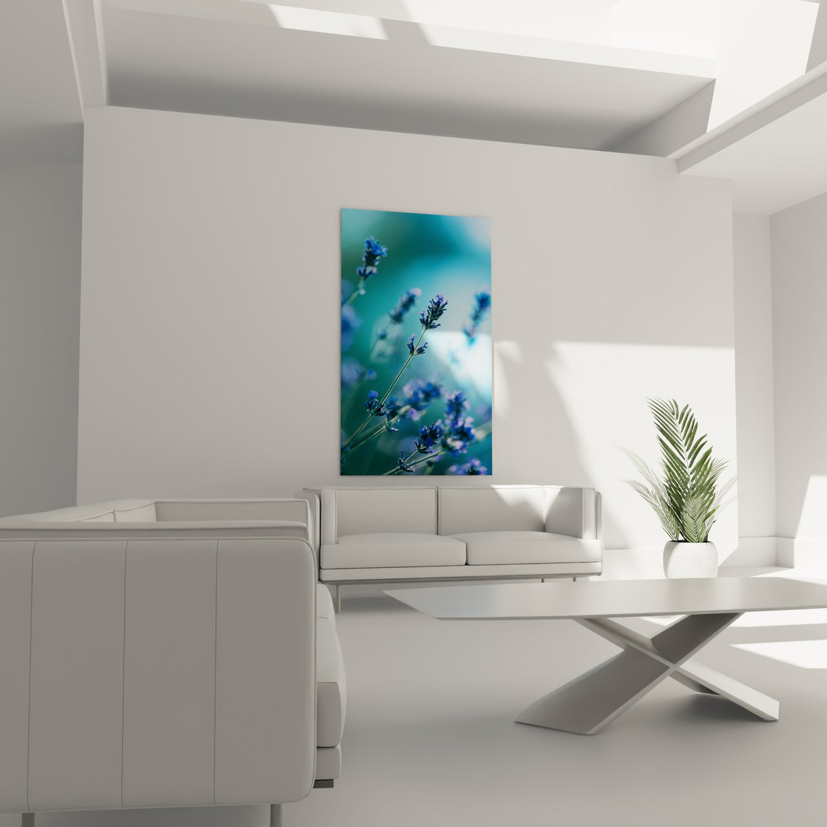 Tiges de lavande mauve se détachant sur fond turquoise diffus, au-dessus d'un canapé dans un salon lumineux