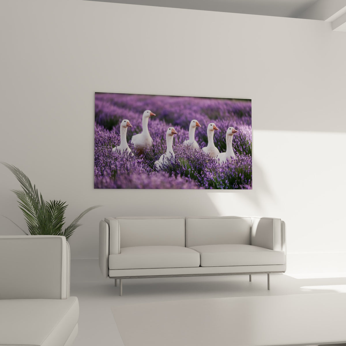 Volatiles blancs parmi les fleurs violettes affichés au-dessus d'un canapé dans un salon lumineux