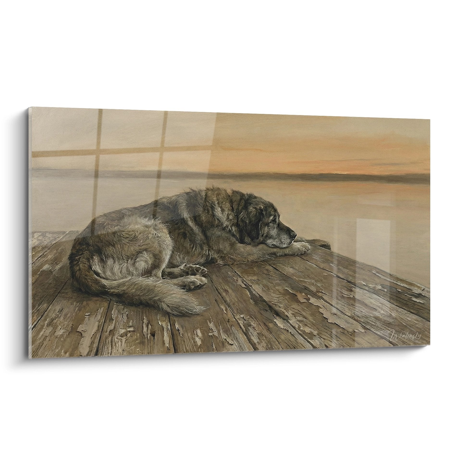 Tableau chien Leonberg allongé sur plancher bois vieilli lumière dorée art contemplatif