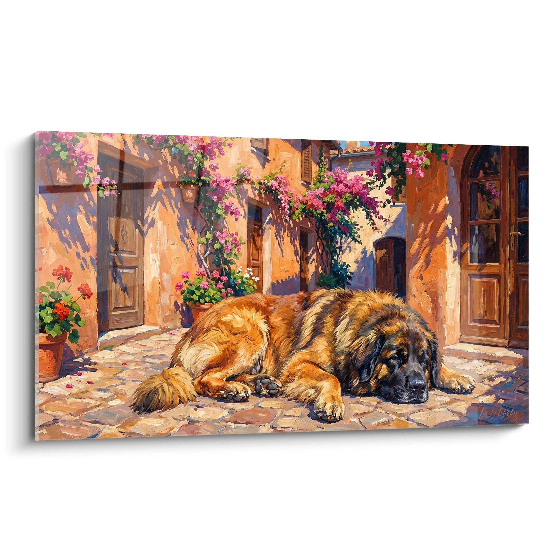 Tableau Leonberg allongé sur pavés anciens entouré de bougainvilliers roses dans ruelle méditerranéenne ensoleillée