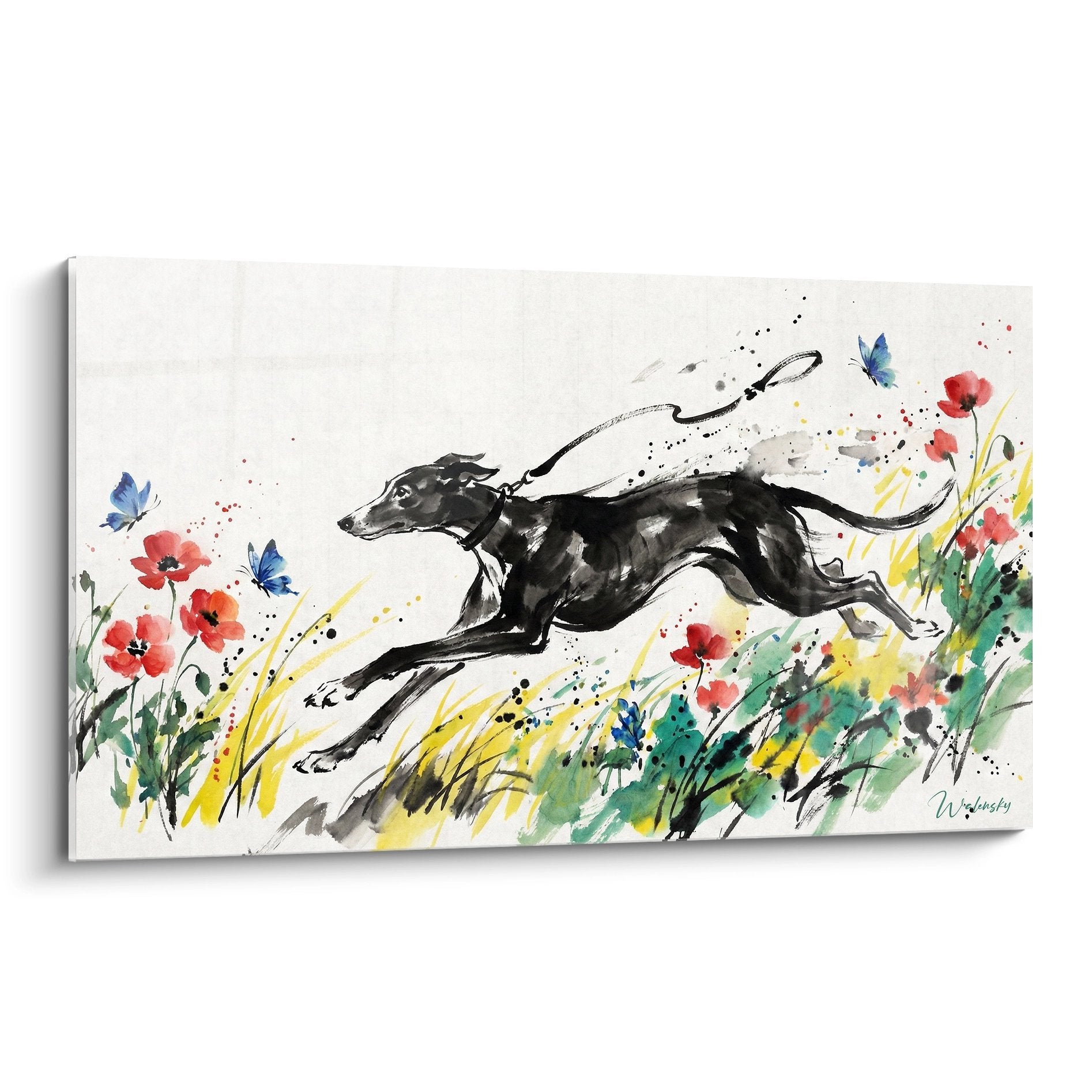 Tableau aquarelle levrier greyhound noir bondissant prairie fleurie coquelicots papillons bleus herbes