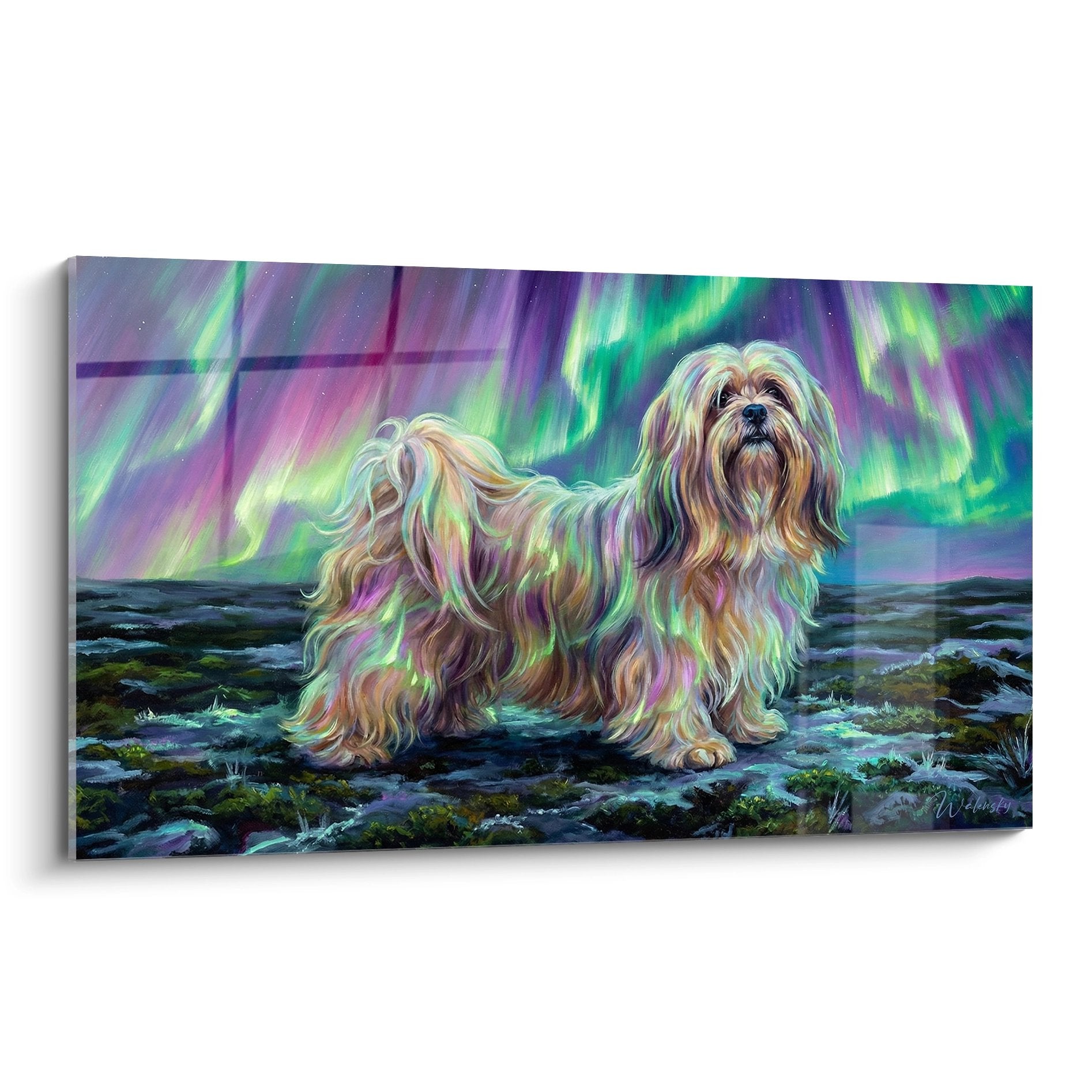 Tableau Lhassa Apso aux reflets irisés violets et verts sous aurore boréale, art canin fantastique coloré