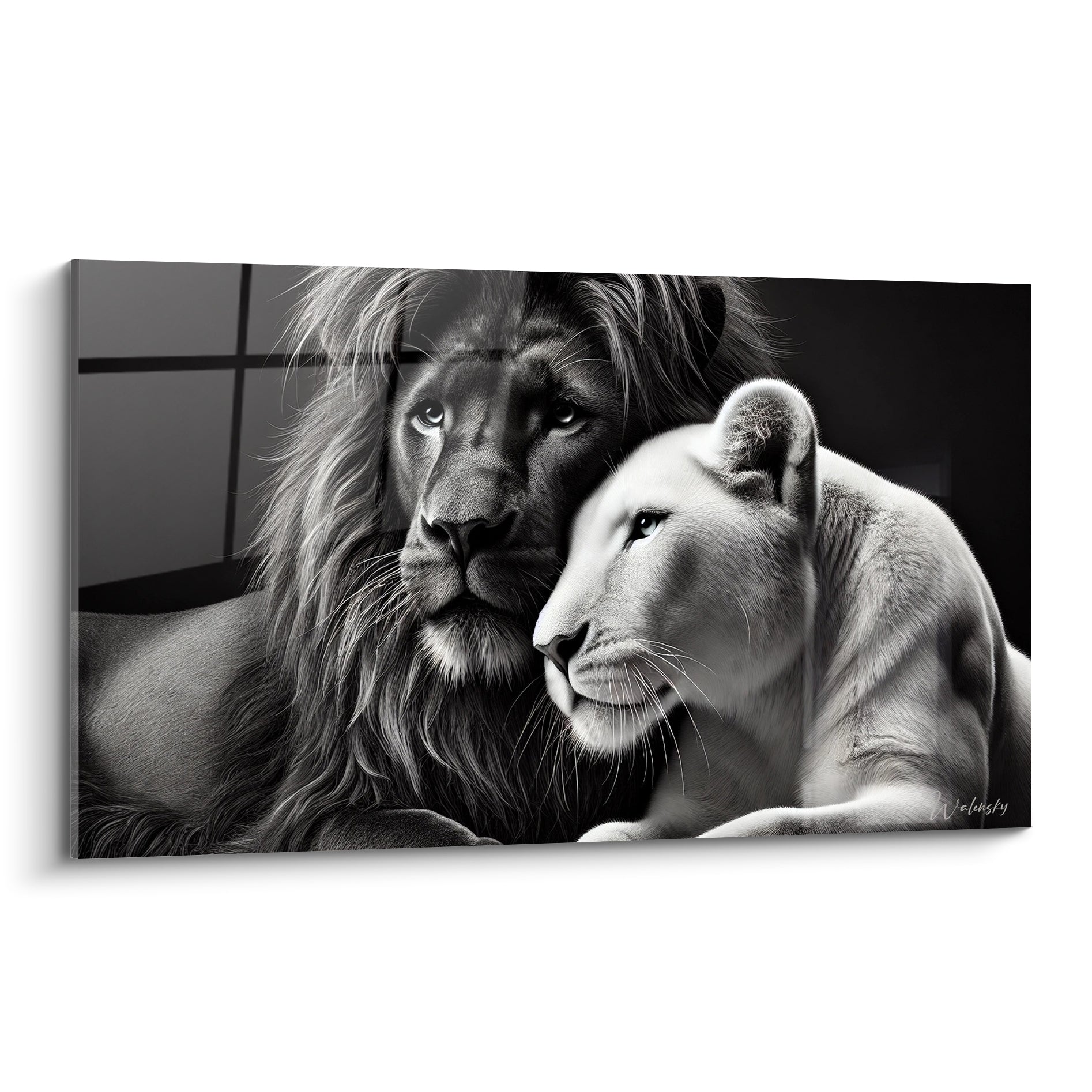 Lion et lionne anthracite et blanc joue contre joue, regard intense en clair-obscur