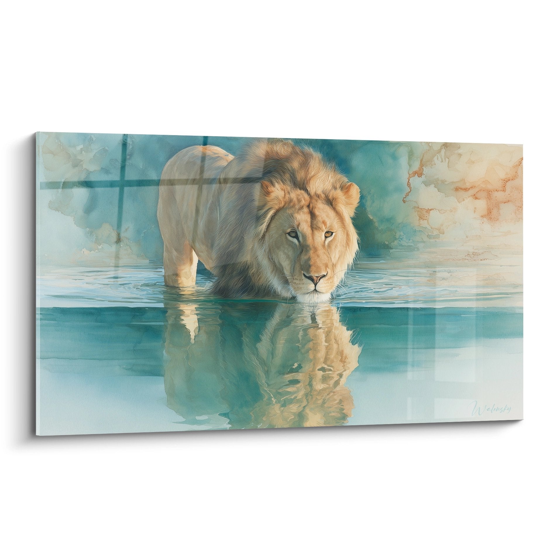 Lion majestueux aux reflets dores debout dans eau turquoise cristalline avec son reflet parfait