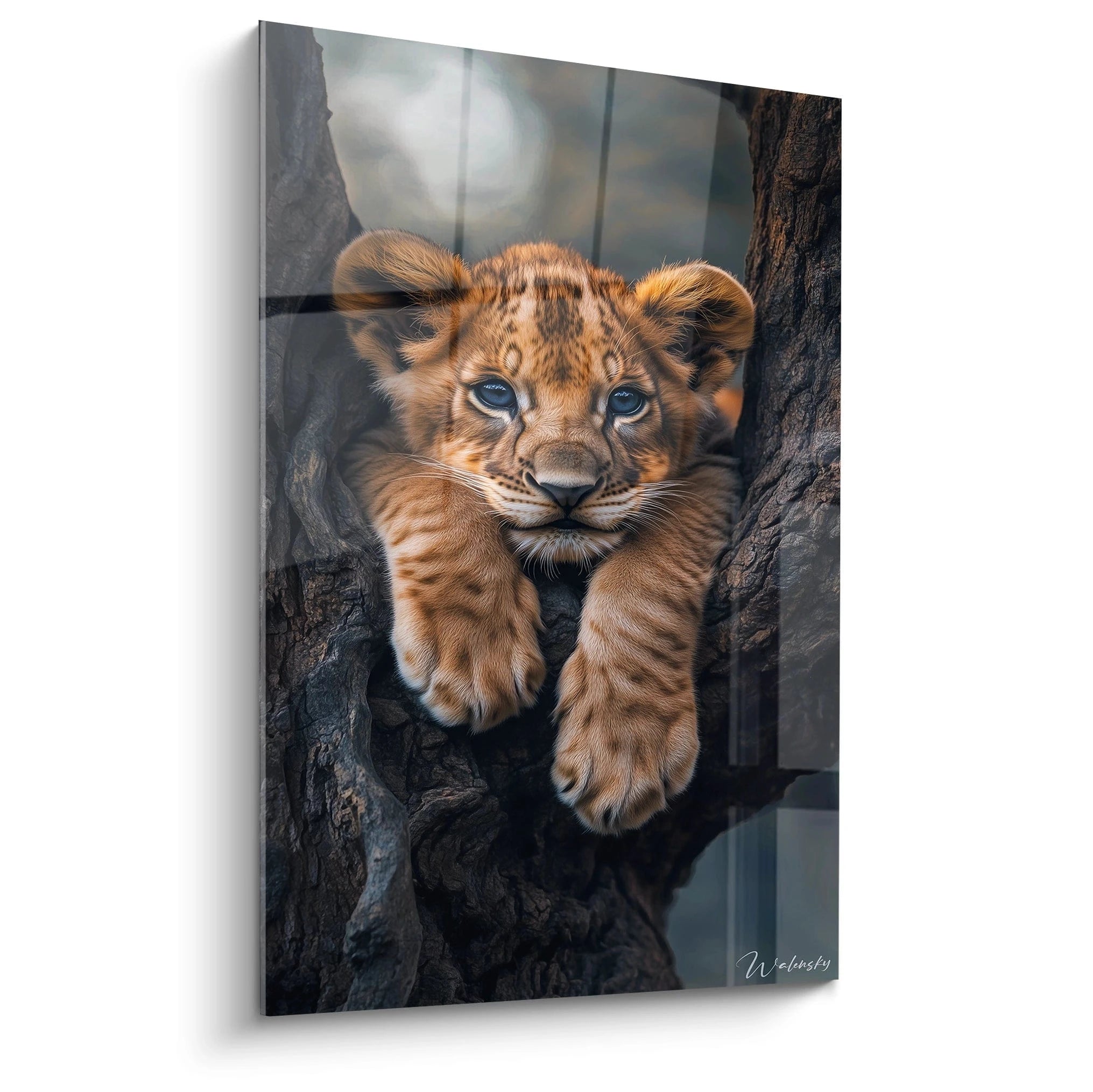 Un tableau lionceau représentant un jeune félin au pelage orangé moucheté de brun, avec des yeux bleu profond, reposant dans le creux d'un tronc d'arbre à l'écorce sombre et texturée, capturé dans une composition centrée avec un arrière-plan flou.