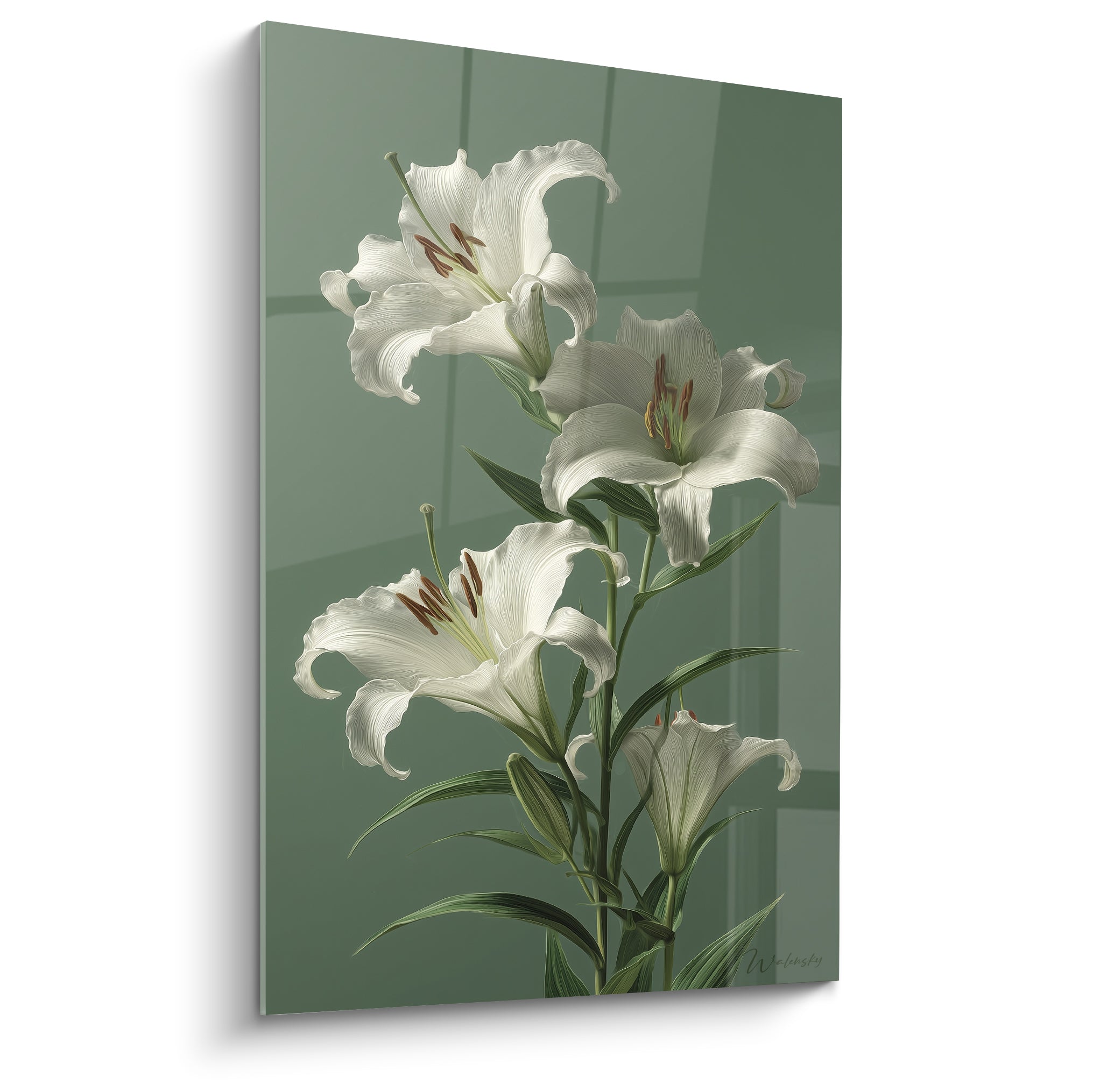Lys blanc aux étamines ocre déployé sur fond vert sauge, pétales soyeux en pleine floraison