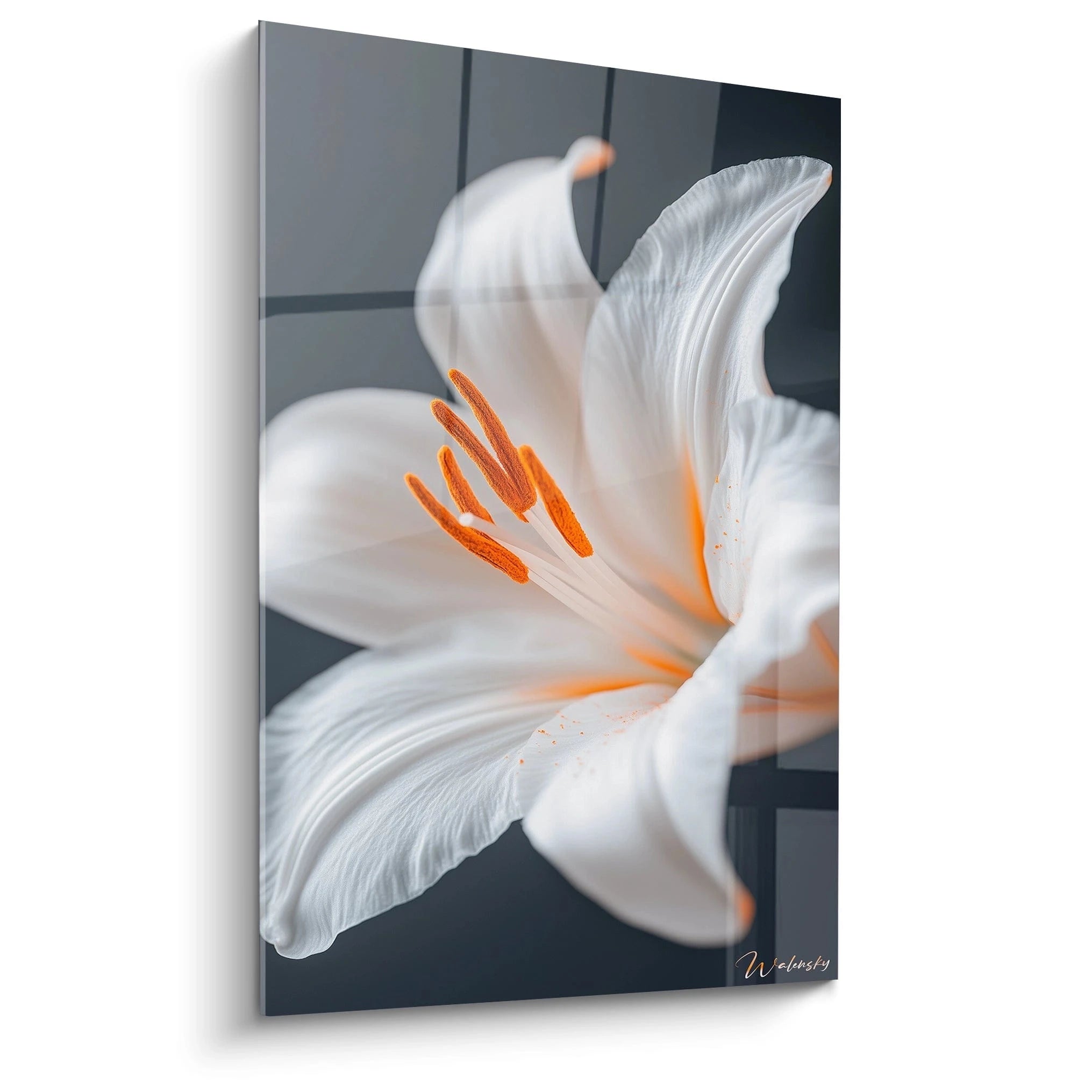 Un tableau Lys nature montrant un lys blanc en gros plan, avec des étamines orange vives. La texture des pétales est lisse et satinée, contrastant avec l’arrière-plan sombre et uni.