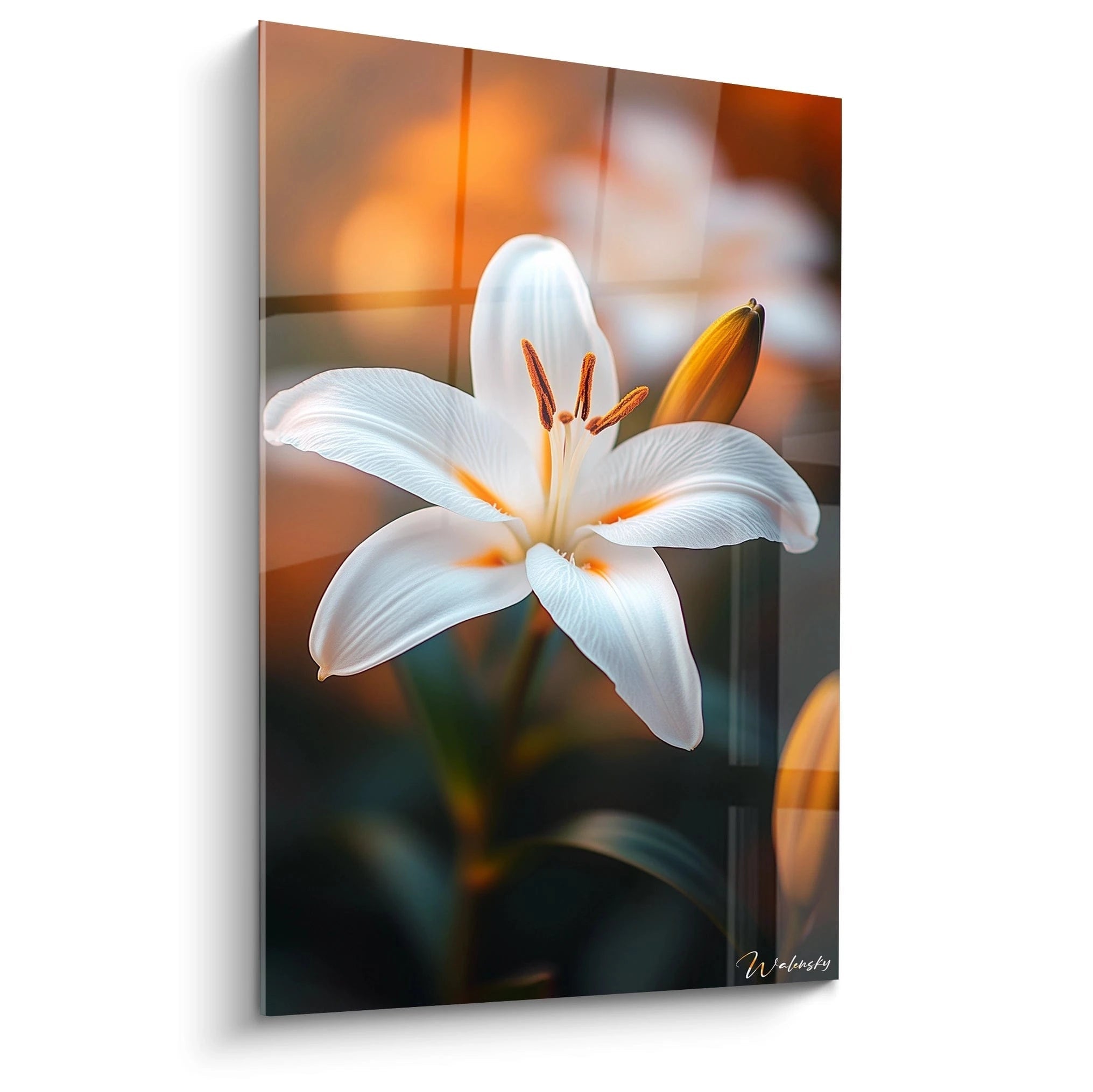 Un tableau Lys nature montrant une fleur blanche avec pétales lisses et étamines orange, sur un fond flou aux tons orangés, capturant des détails fins et une texture délicate.
