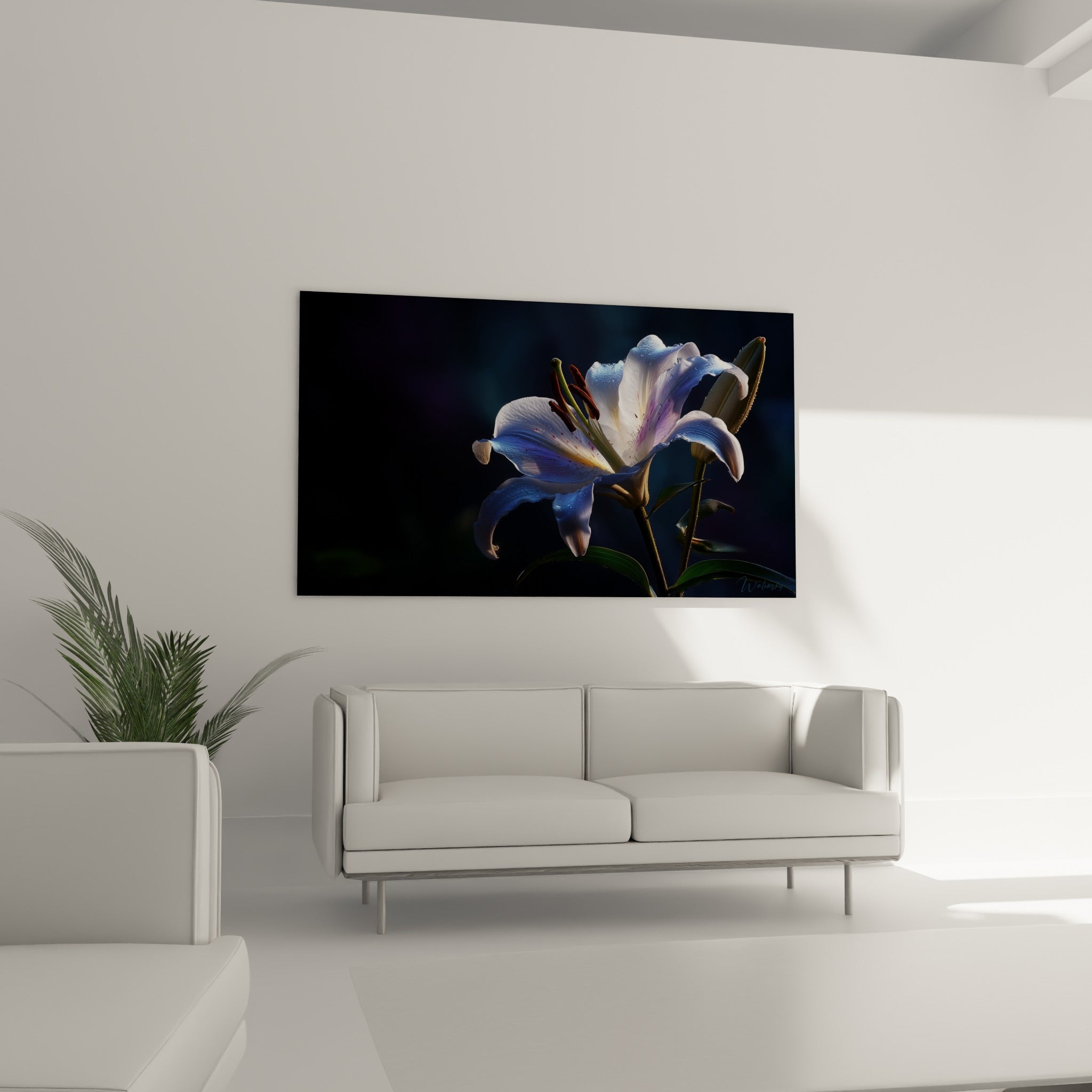 Pétales de lys bleu profond et blanc nacré perlés de rosée, suspendus au-dessus d'un canapé dans un salon lumineux
