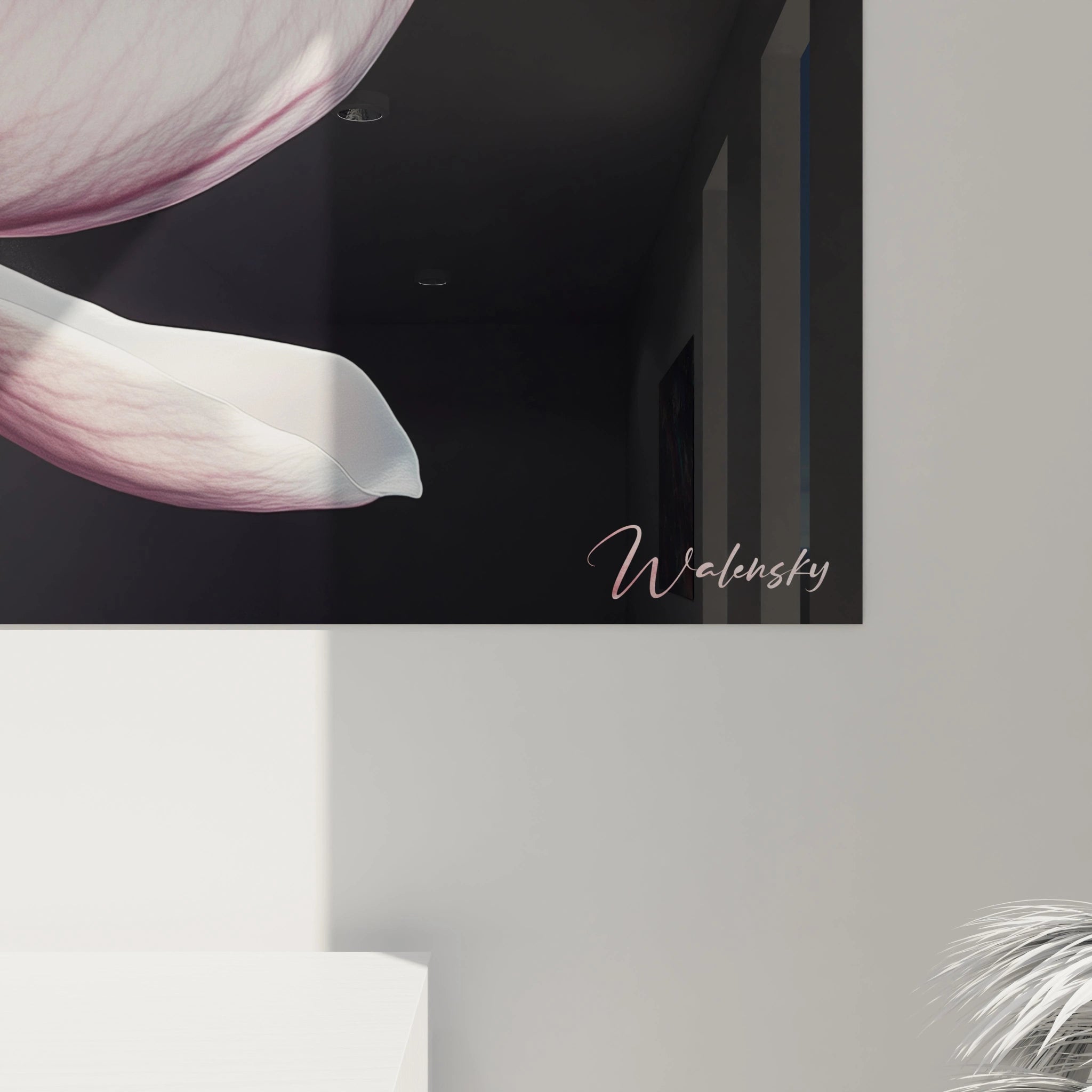 Un tableau Magnolia nature représentant une fleur épanouie aux tons rose pùle et blanc, contrastée sur fond sombre, dévoilant une surface légÚrement veloutée.