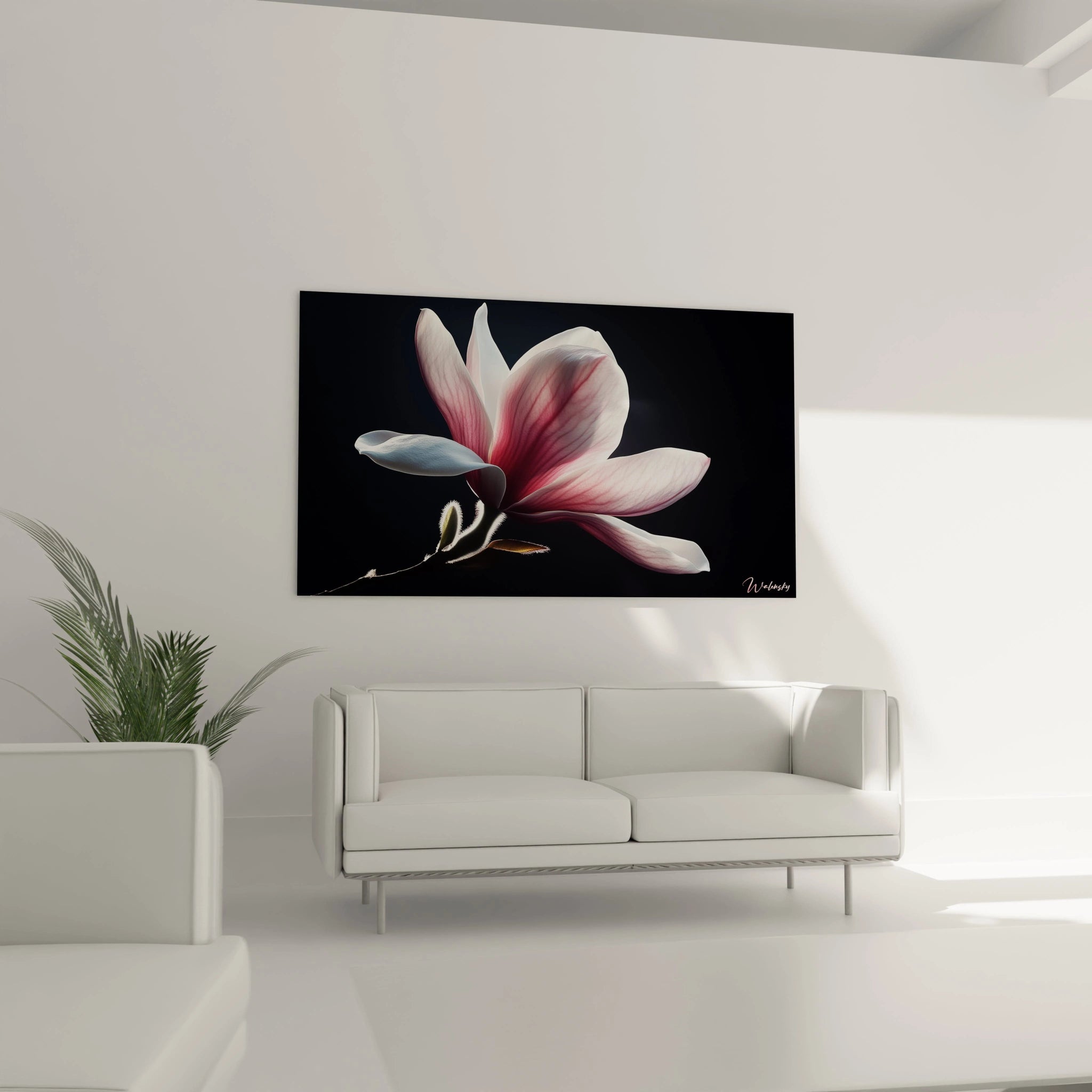 Un tableau Magnolia nature mettant en avant une unique fleur rosée, éclairée sur fond obscur, avec contours fins et textures délicates visibles.