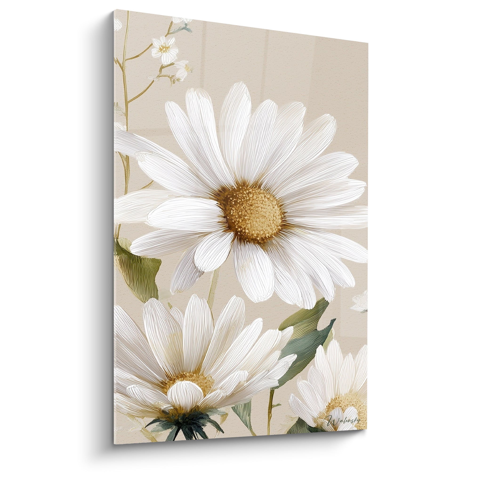 Marguerites blanches aux cœurs dorés déployées sur un fond beige doux, style illustratif botanique