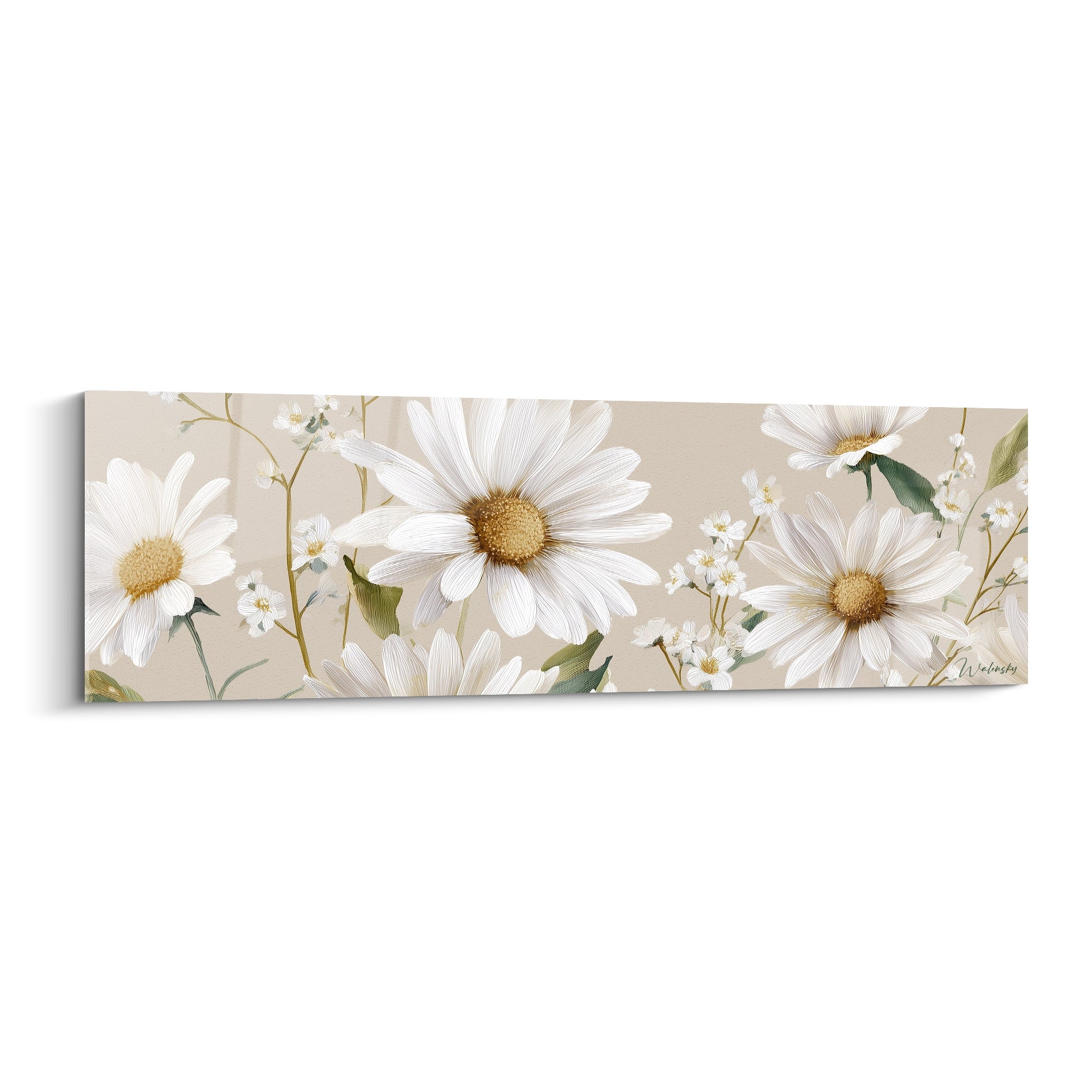 Marguerites blanches aux cœurs dorés peintes sur fond beige, composition botanique panoramique