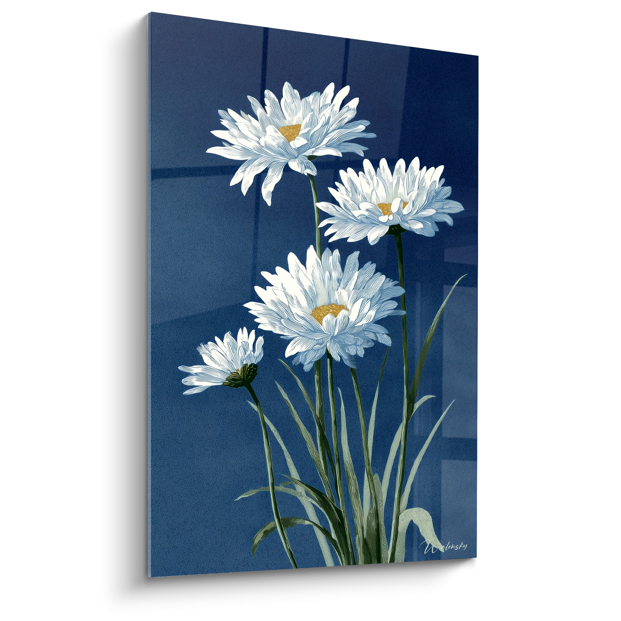 Quatre marguerites blanches aux cœurs dorés se dressent sur un fond bleu marine, style illustré gravé