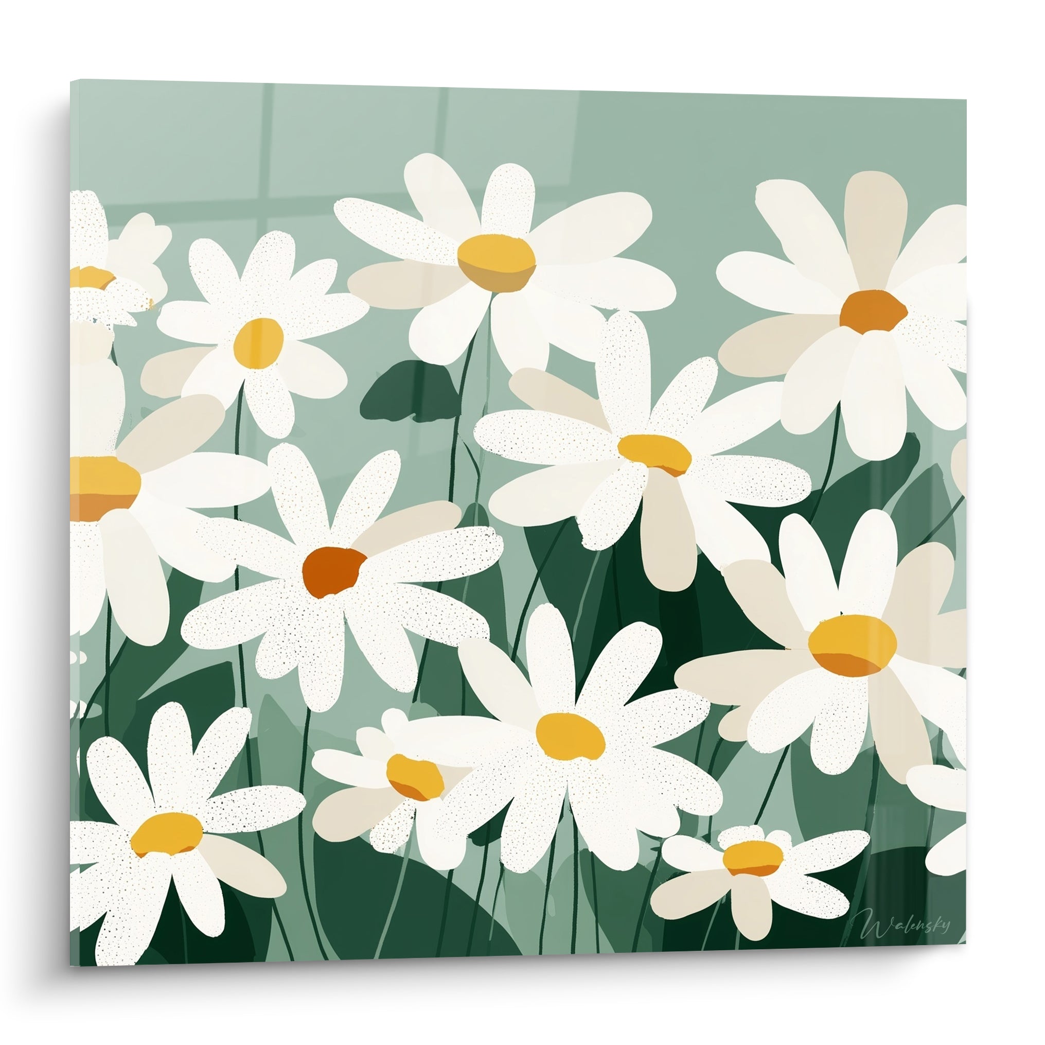 Marguerites blanches aux cœurs dorés et fond vert sauge en pleine floraison graphique