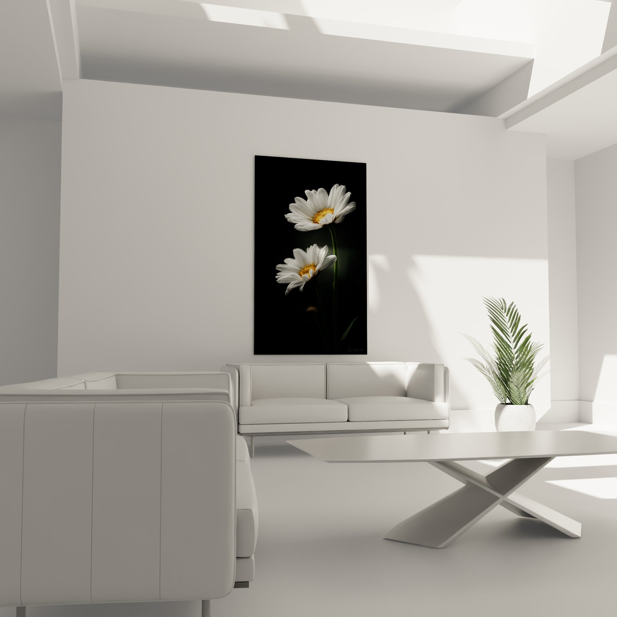 Fleurs blanches aux pétales délicats et cœur doré accrochées au-dessus d'un canapé dans un salon lumineux