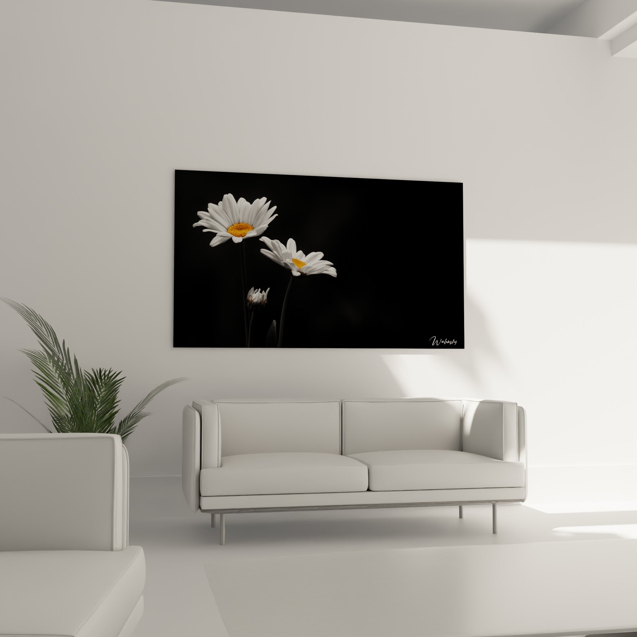 Fleurs de marguerite blanches sur fond noir apportant lumière au-dessus d'un canapé dans un salon lumineux