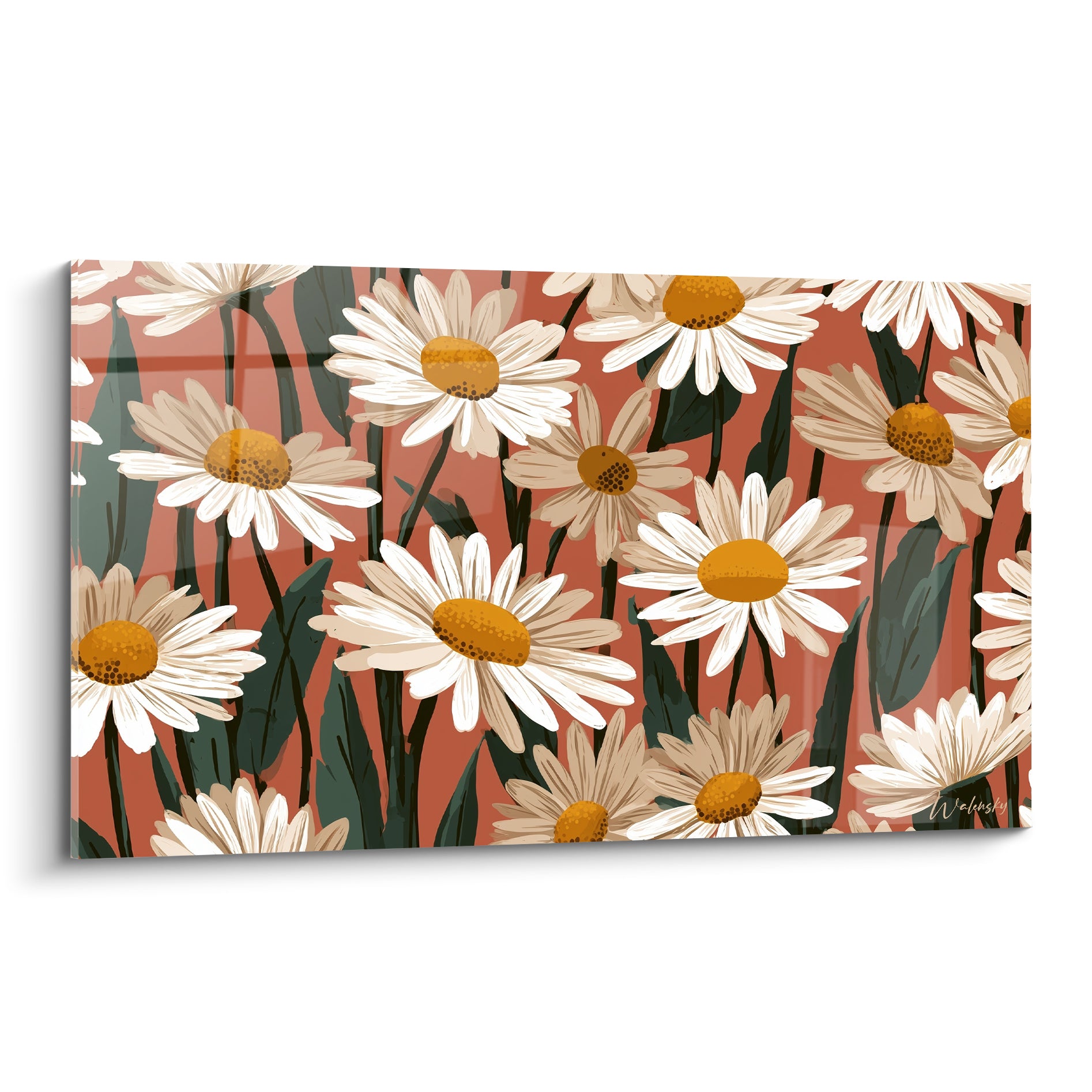 Marguerites blanches aux cœurs dorés en fleurs denses sur fond terracotta et vert sombre
