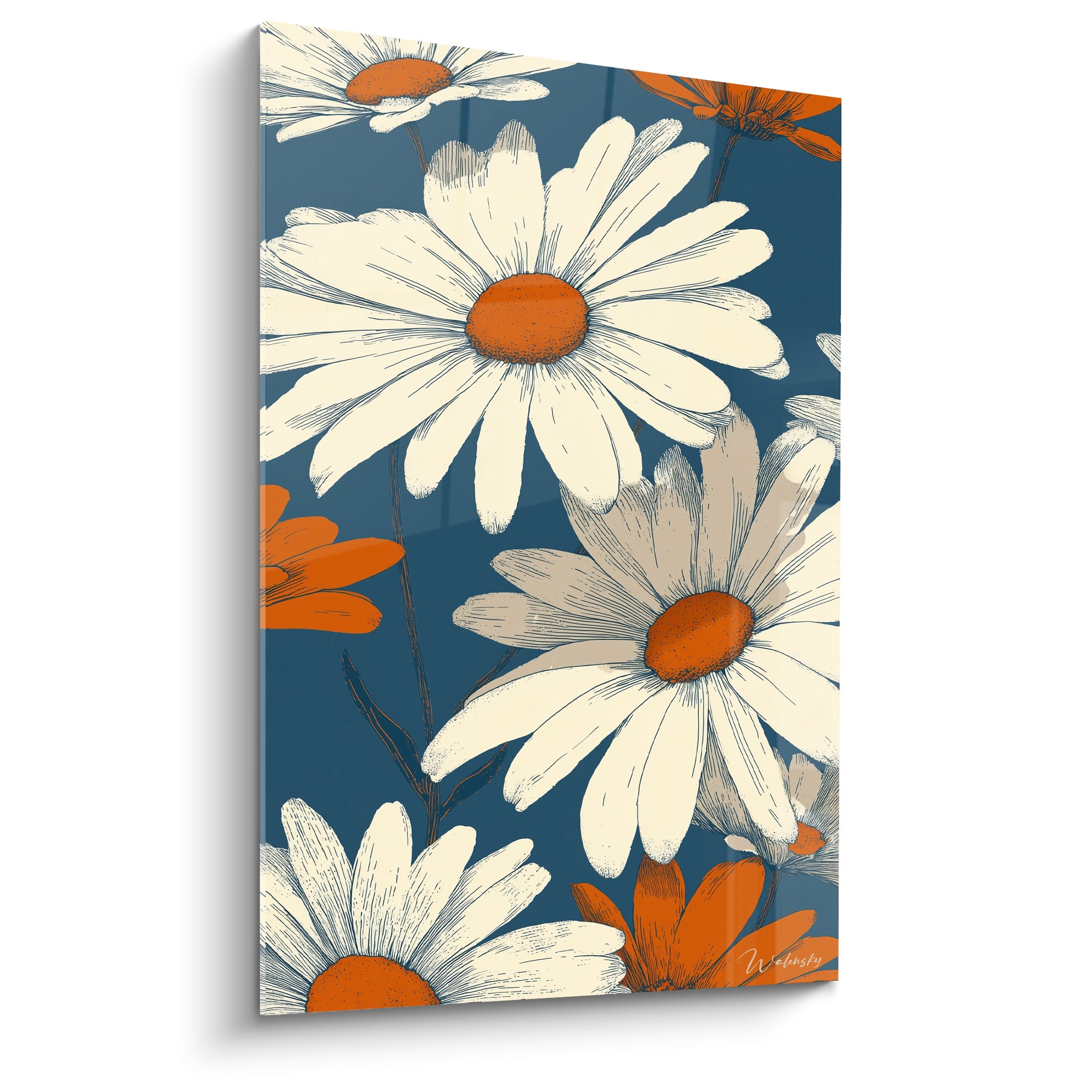 Marguerites blanches et orangées illustrées sur fond bleu marine, pétales crème détaillés au trait fin