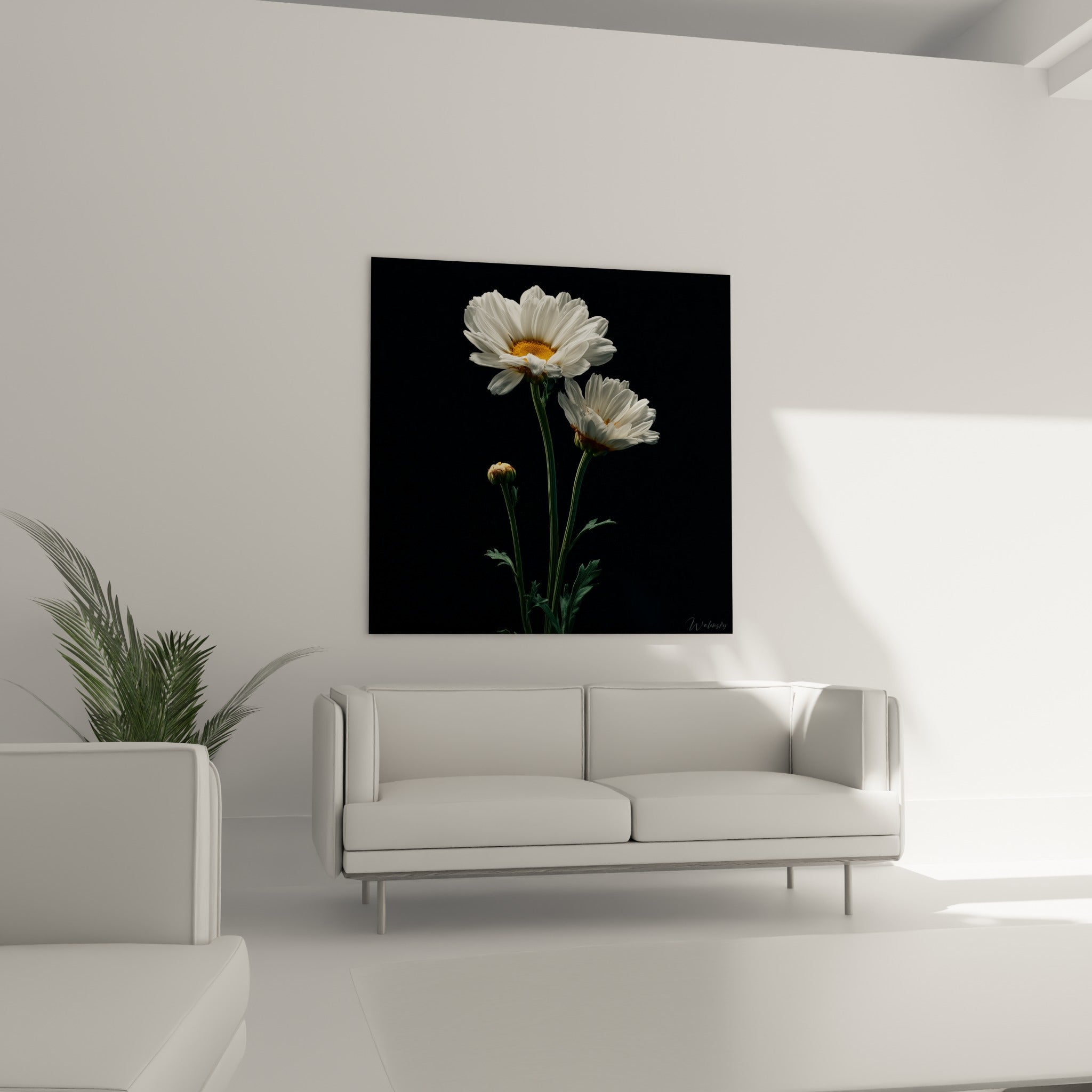 Corolles blanches et cœur doré des marguerites disposées au-dessus d'un canapé dans un salon lumineux