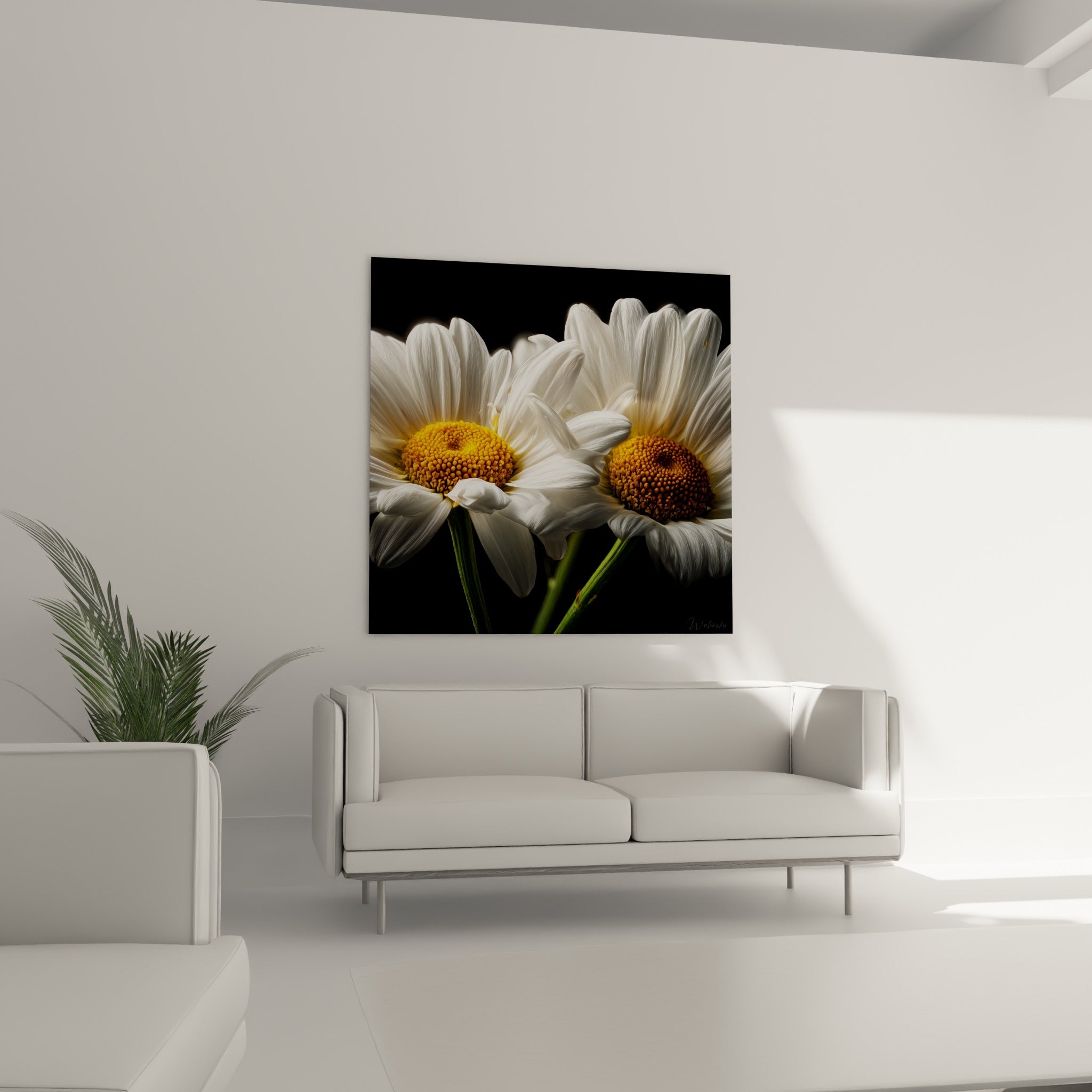 Pétales blancs et cœurs dorés des marguerites au-dessus d'un canapé dans un salon lumineux