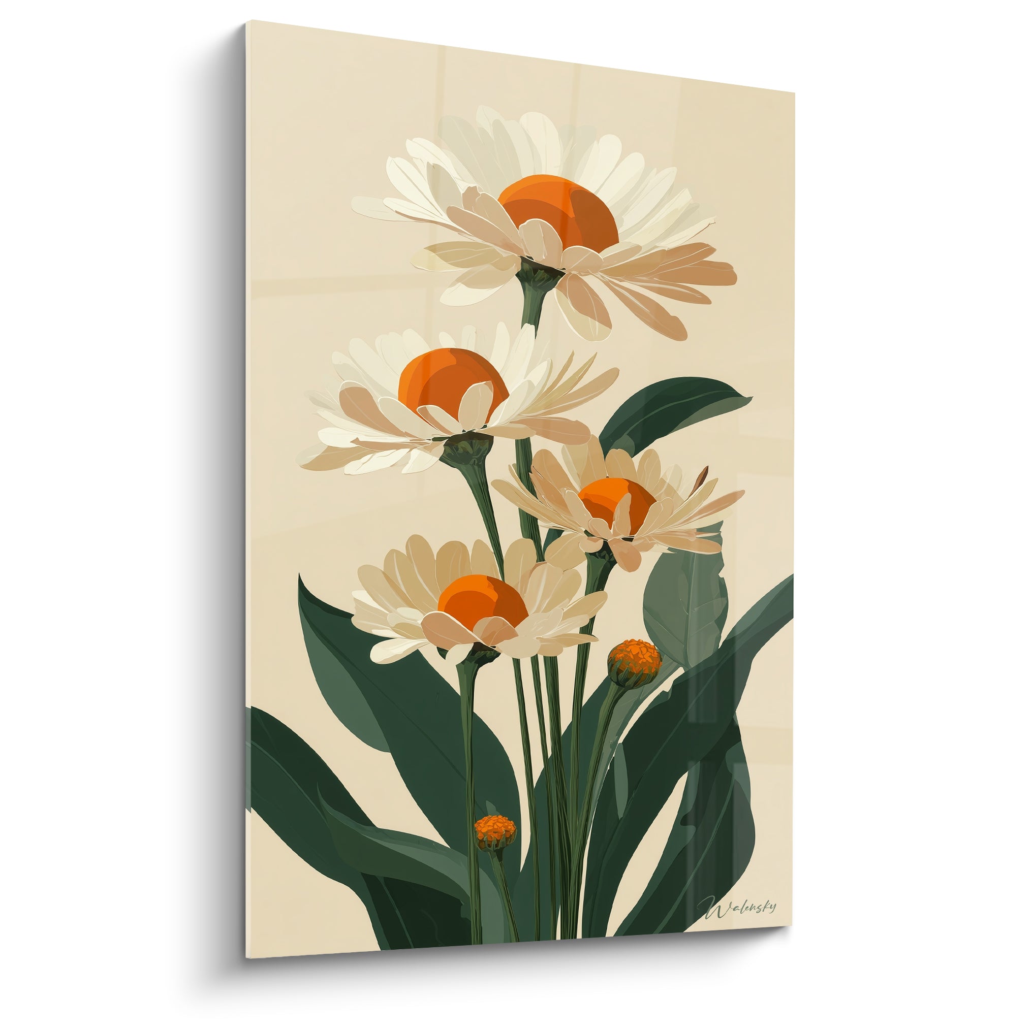 Marguerites blanches aux cœurs orange vif sur fond crème, style illustration botanique