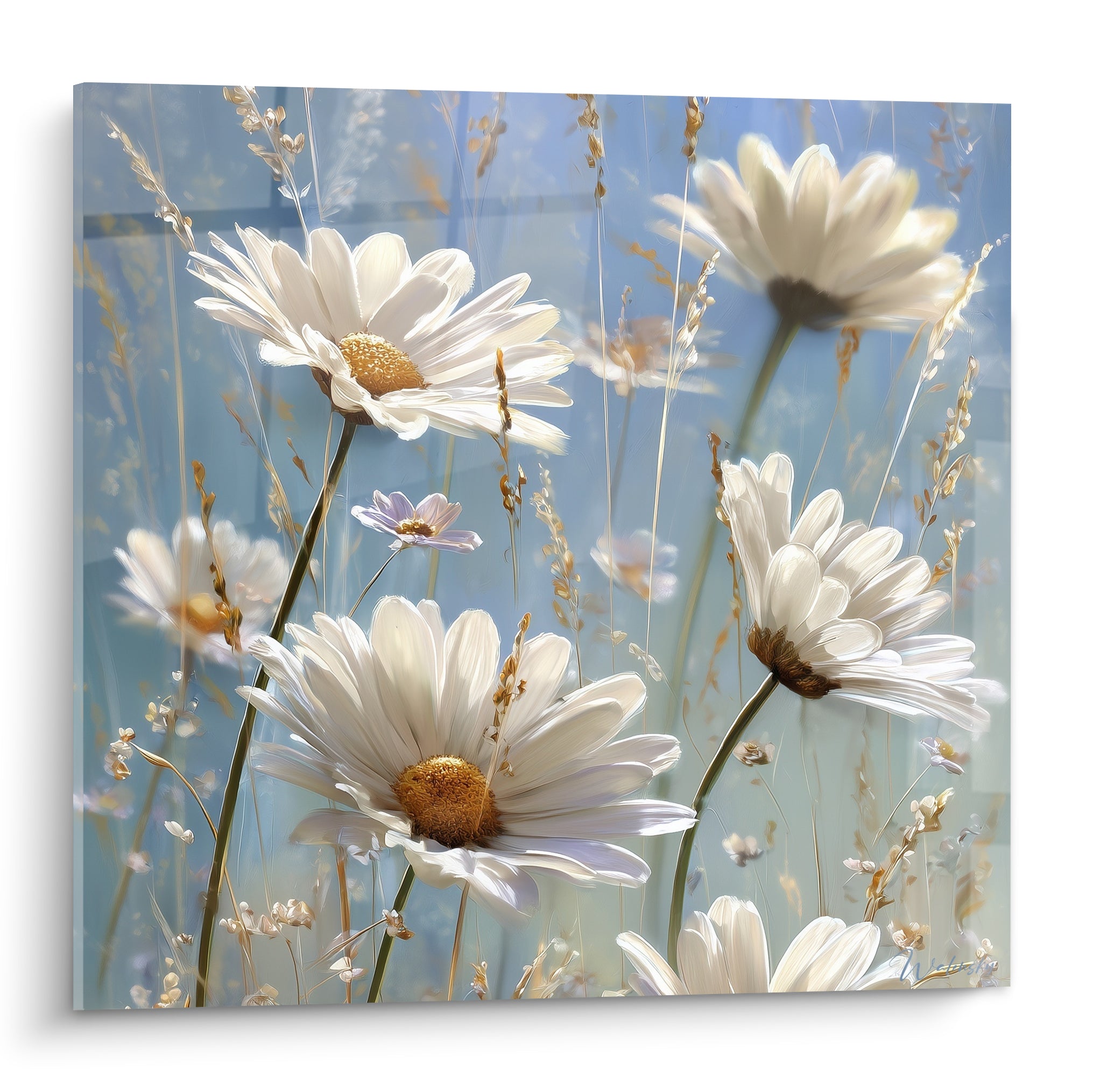 Marguerites blanches aux cœurs dorés se déploient sur un fond bleu pastel vaporeux et lumineux