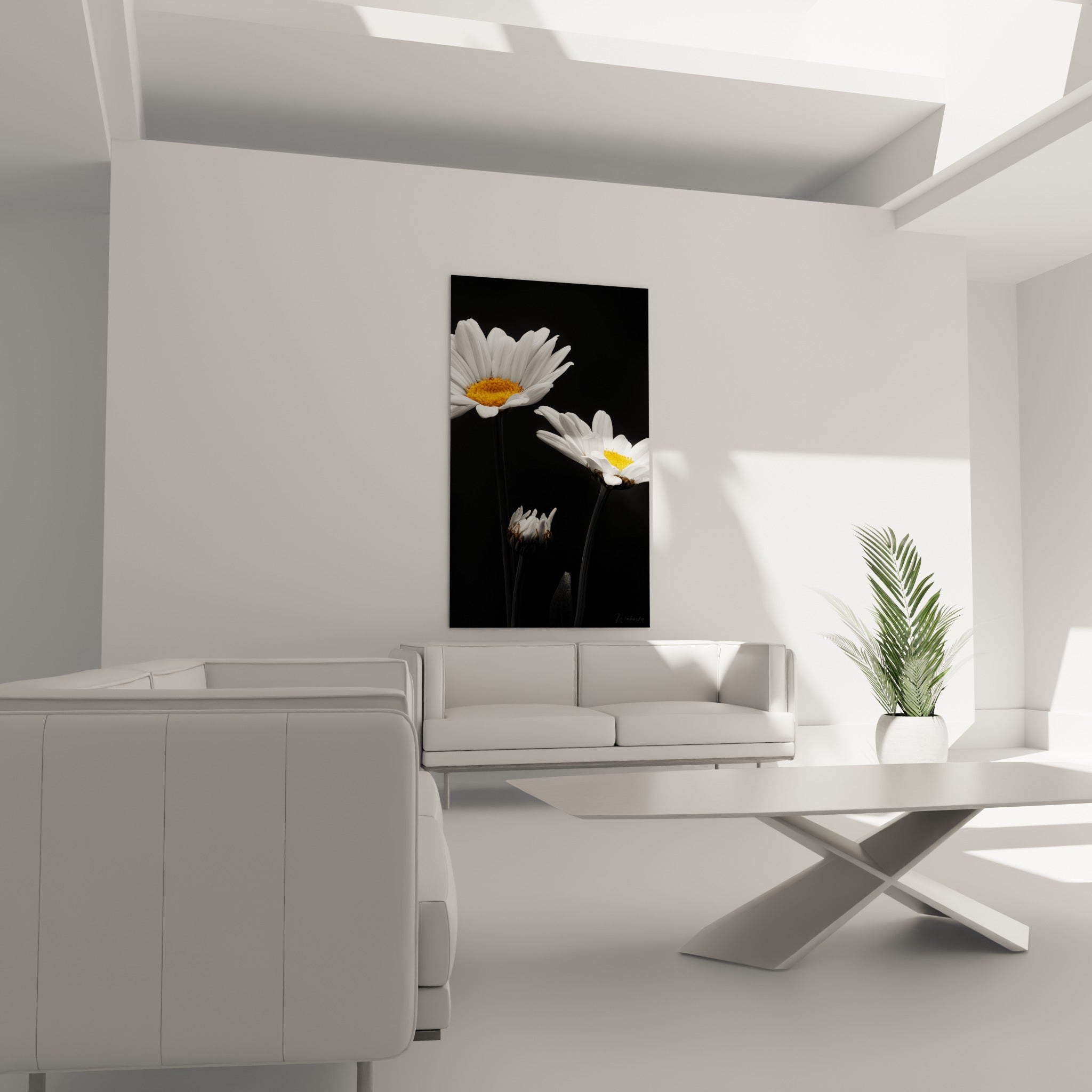 Pétales blancs et cœur doré de la marguerite installés au-dessus d'un canapé dans un salon lumineux