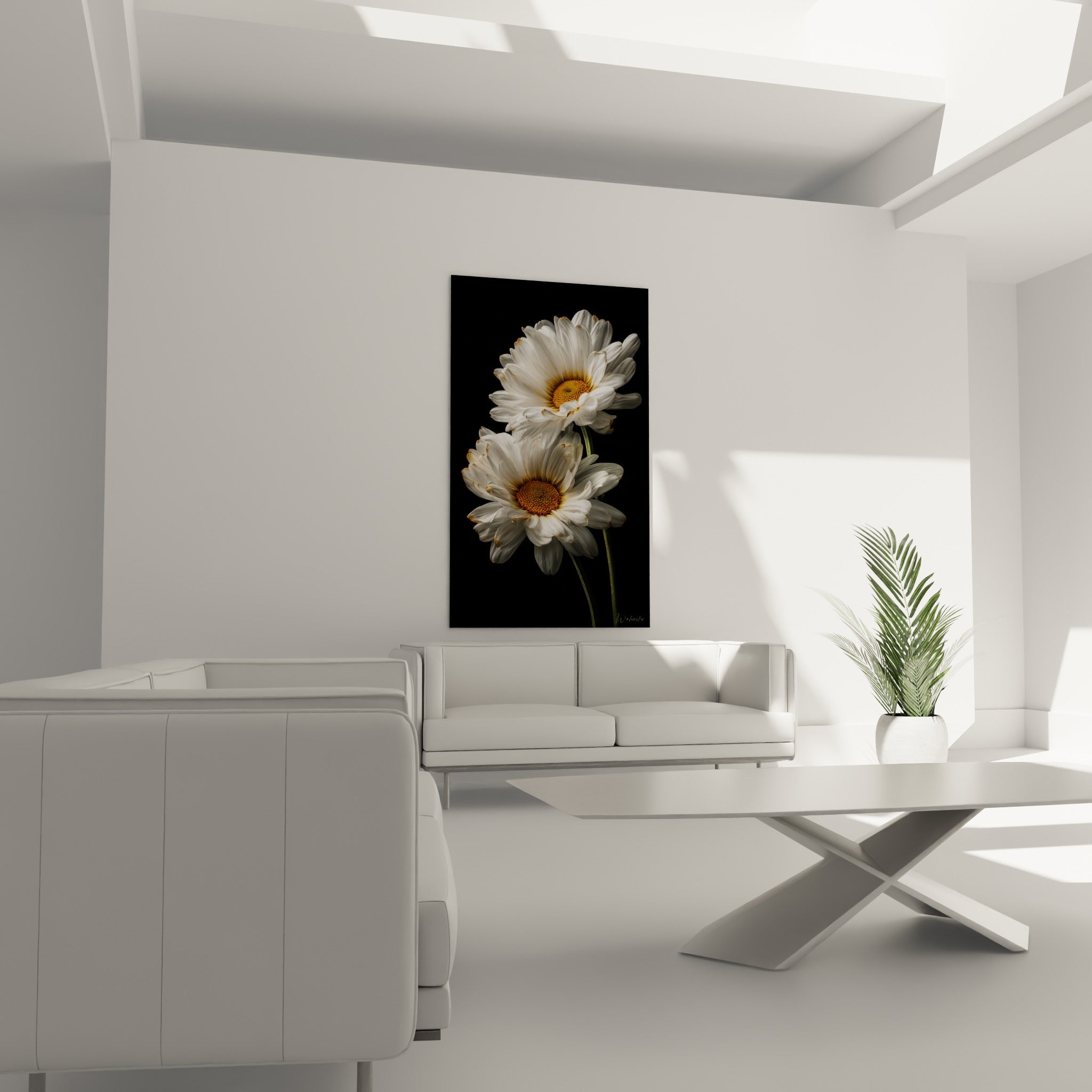 Fleurs de marguerite blanches sur fond sombre disposées au-dessus d'un canapé dans un salon lumineux