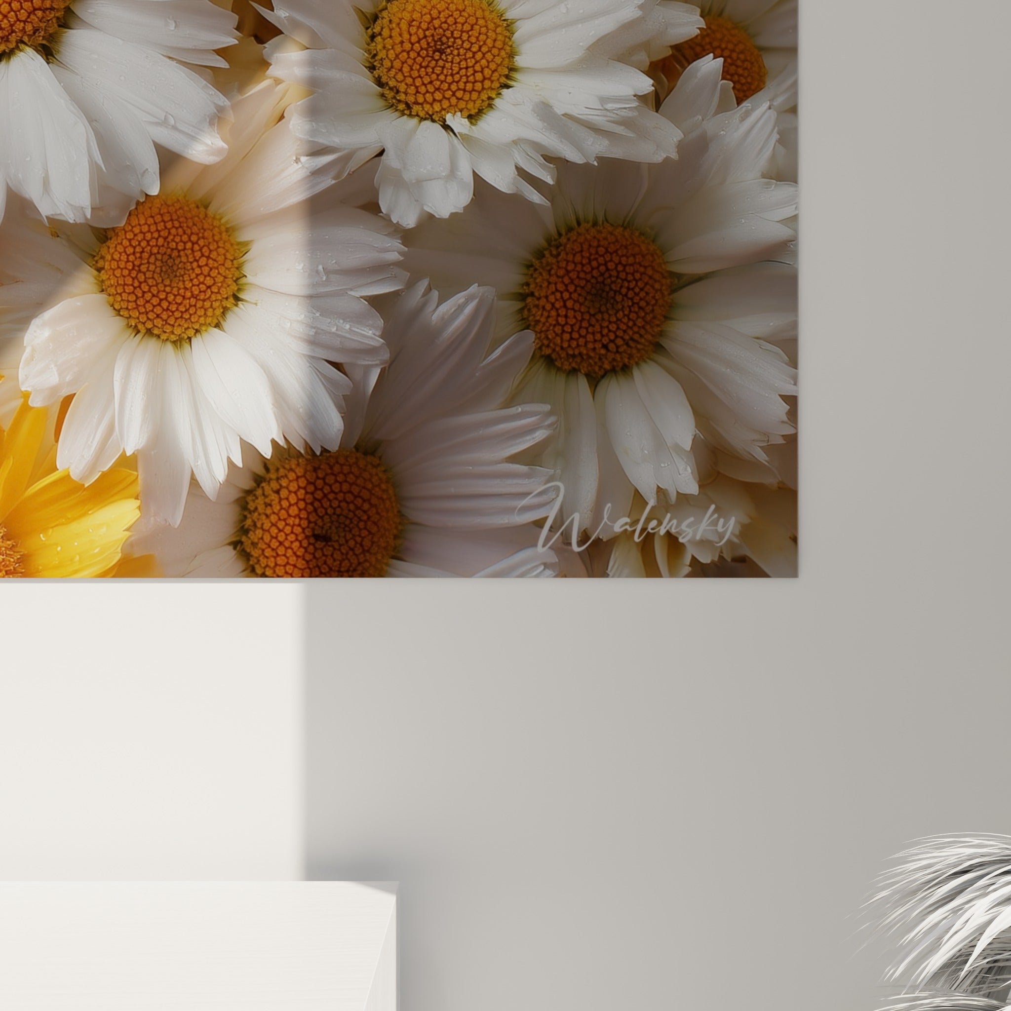 Grain de l'impression révélant les nuances blanches et orangées des pétales de marguerite