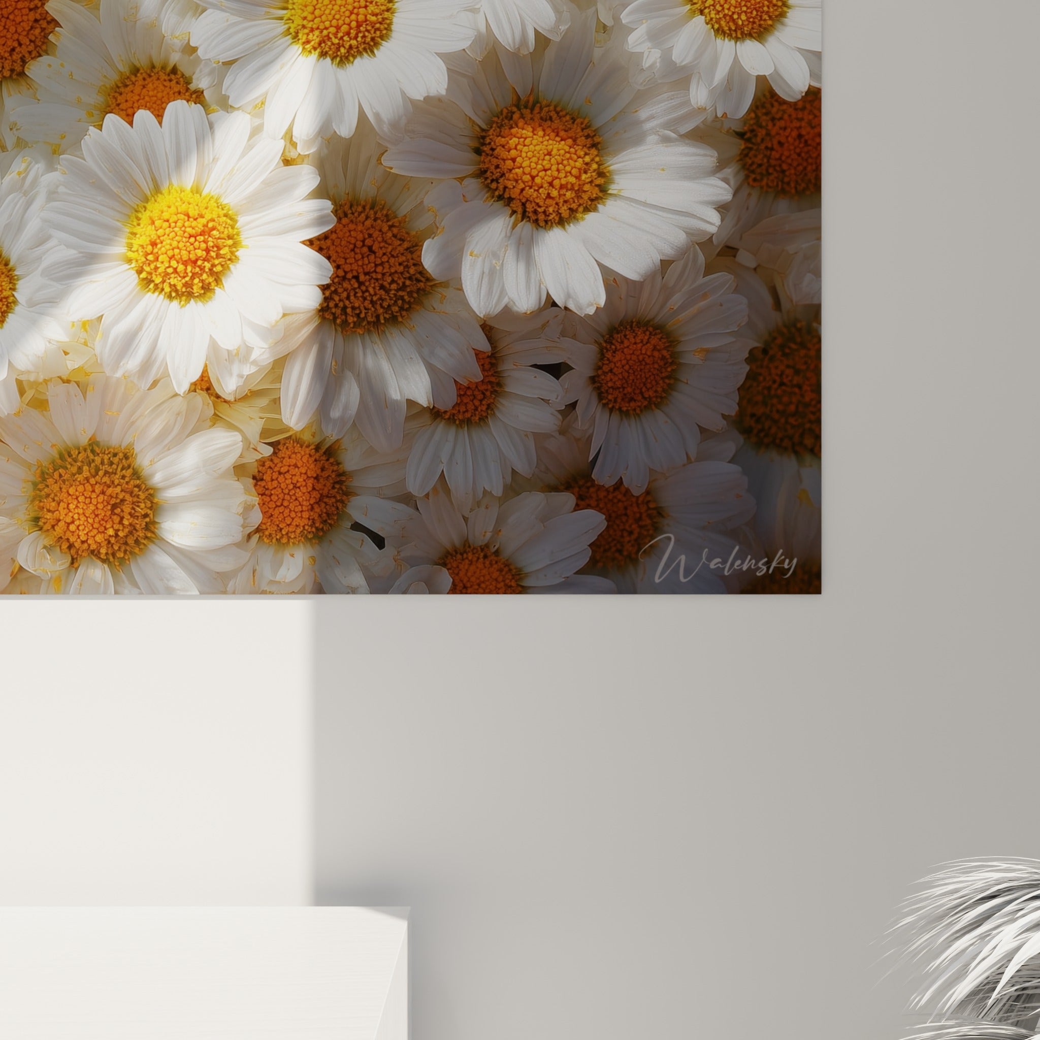 Pétales blancs et cœurs orangés de marguerite révélant la texture fine de l'impression et son grain