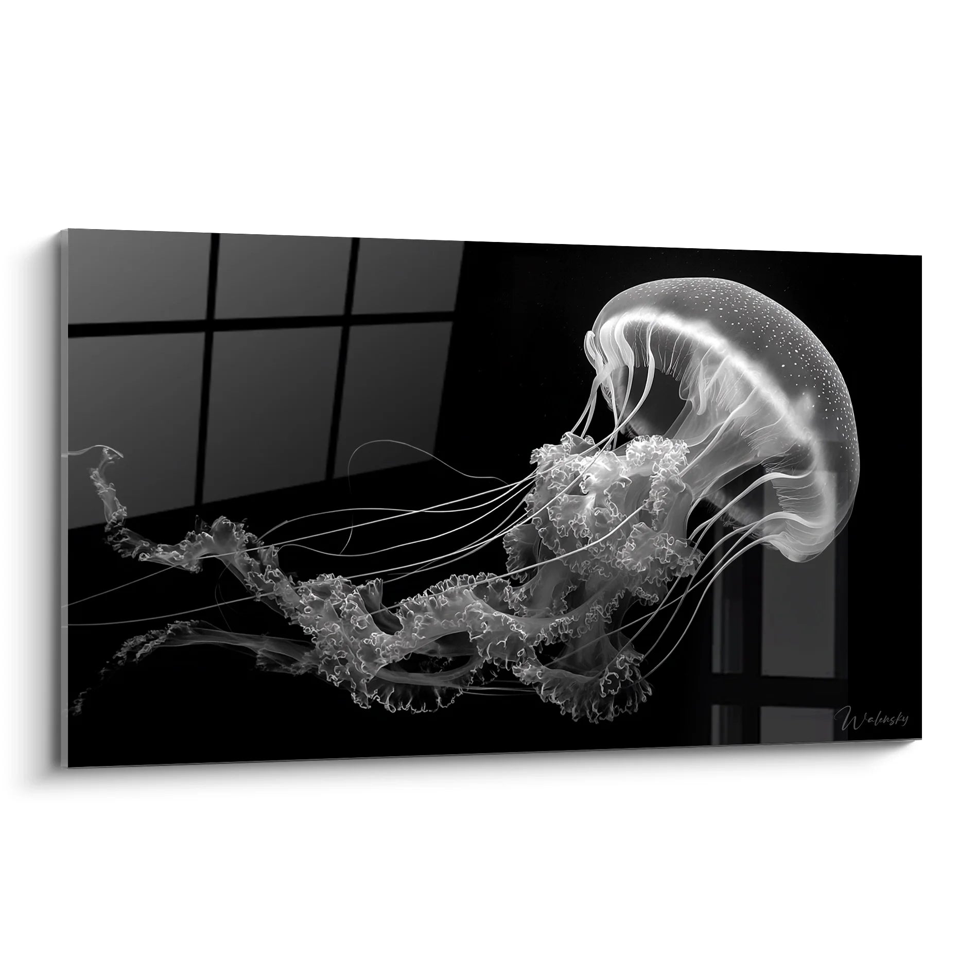 Tableau méduse translucide noir et blanc avec tentacules gracieux sur fond sombre