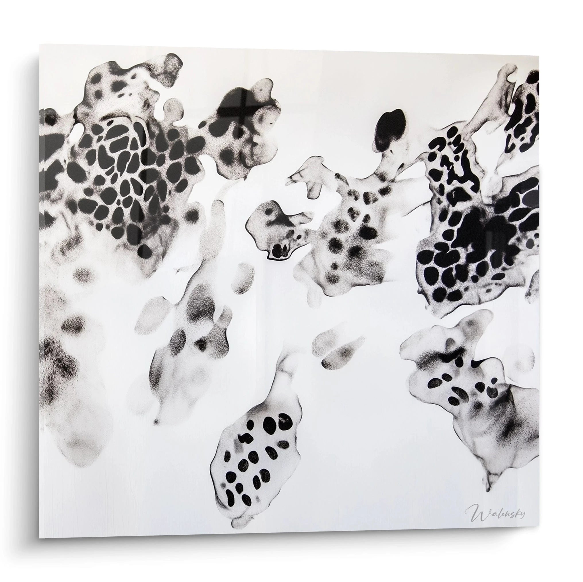 Tableau tacheté noir et blanc de Walensky avec des motifs abstraits élégants pour la décoration intérieure