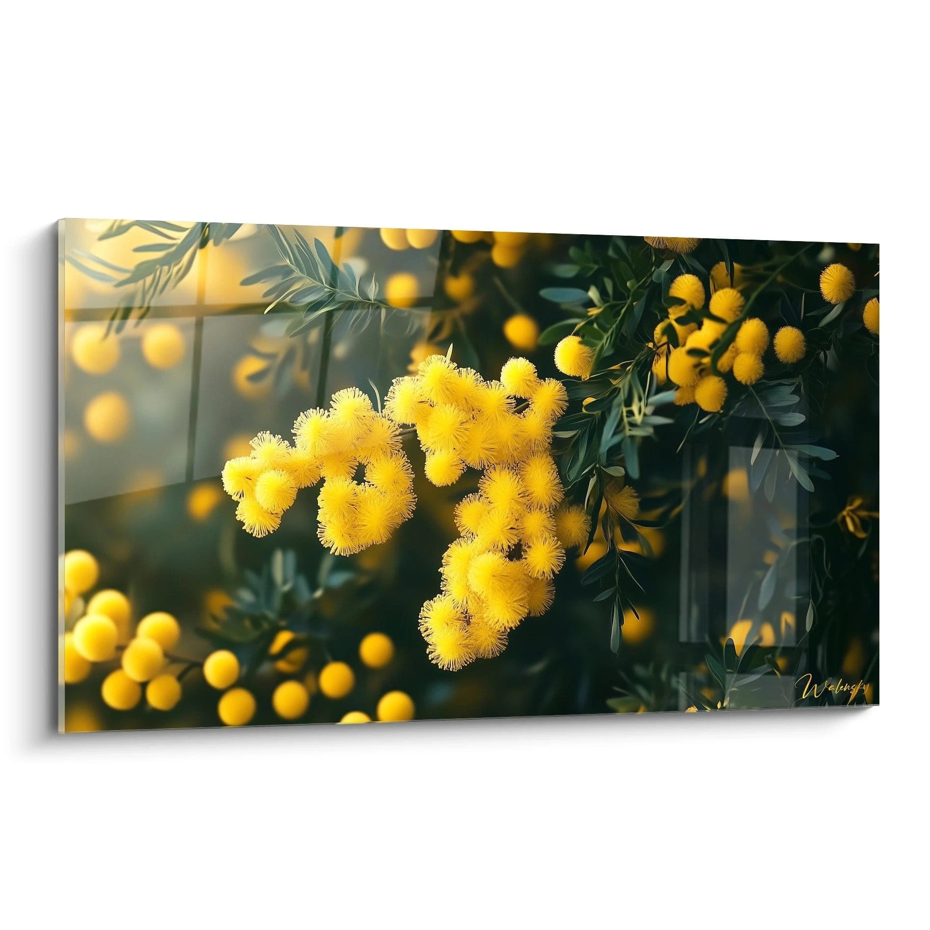 Un tableau mimosa nature représentant des fleurs jaunes sphériques sur un fond vert foncé, avec des textures duveteuses et un effet de profondeur créé par des contrastes lumineux.