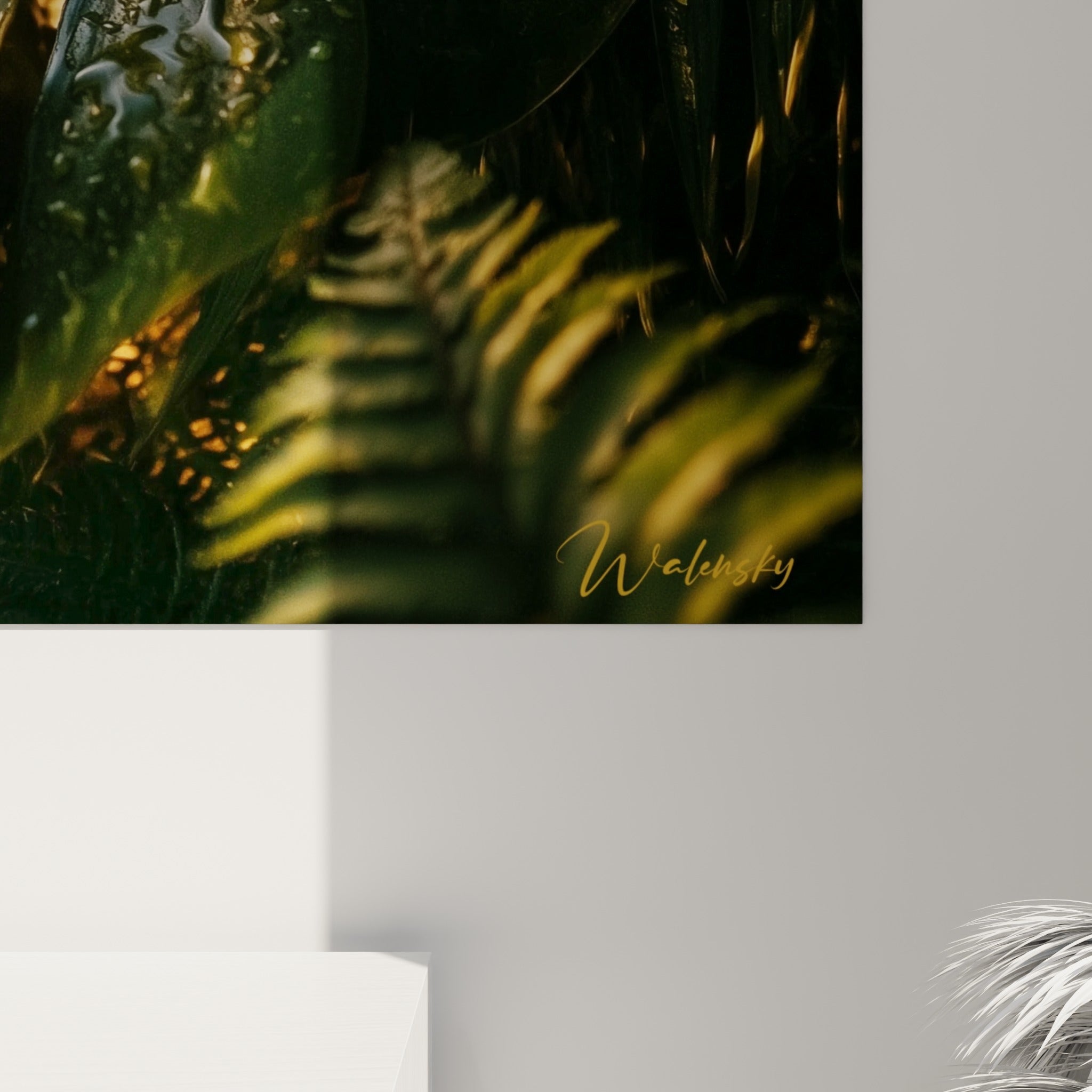 Détail rapproché du Monstera montrant les nervures vertes, les gouttes translucides et les reflets dorés sur la matière