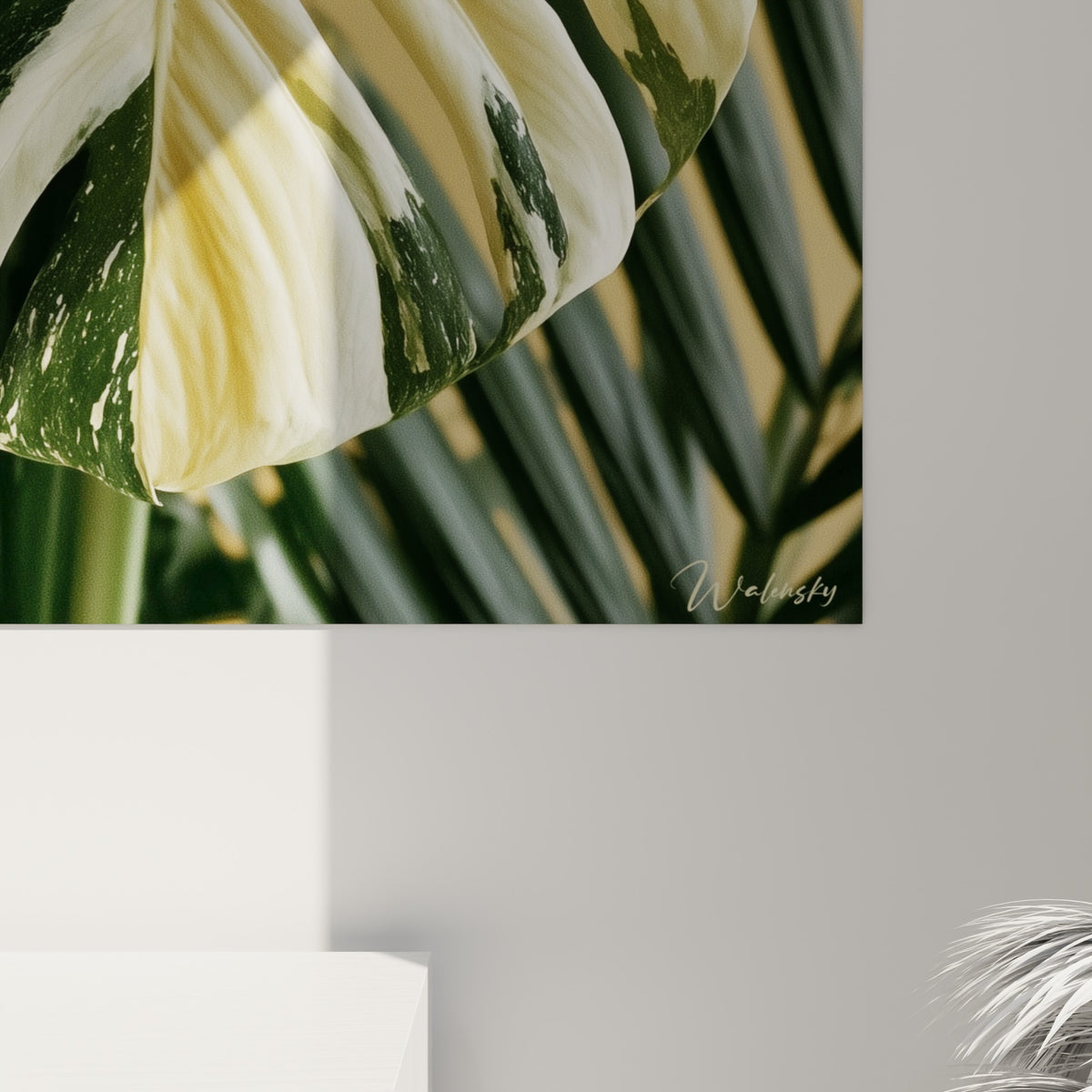 Détail de la feuille Monstera montrant le grain lisse du blanc ivoire fondu dans le vert profond des lobes