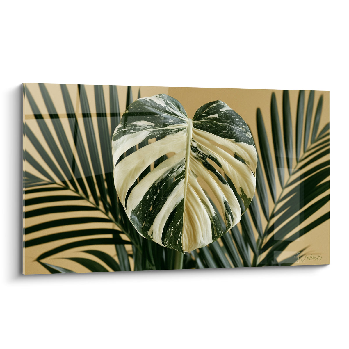Feuille de Monstera panachée blanche et verte sur fond ocre, style botanique détaillé et lumineux