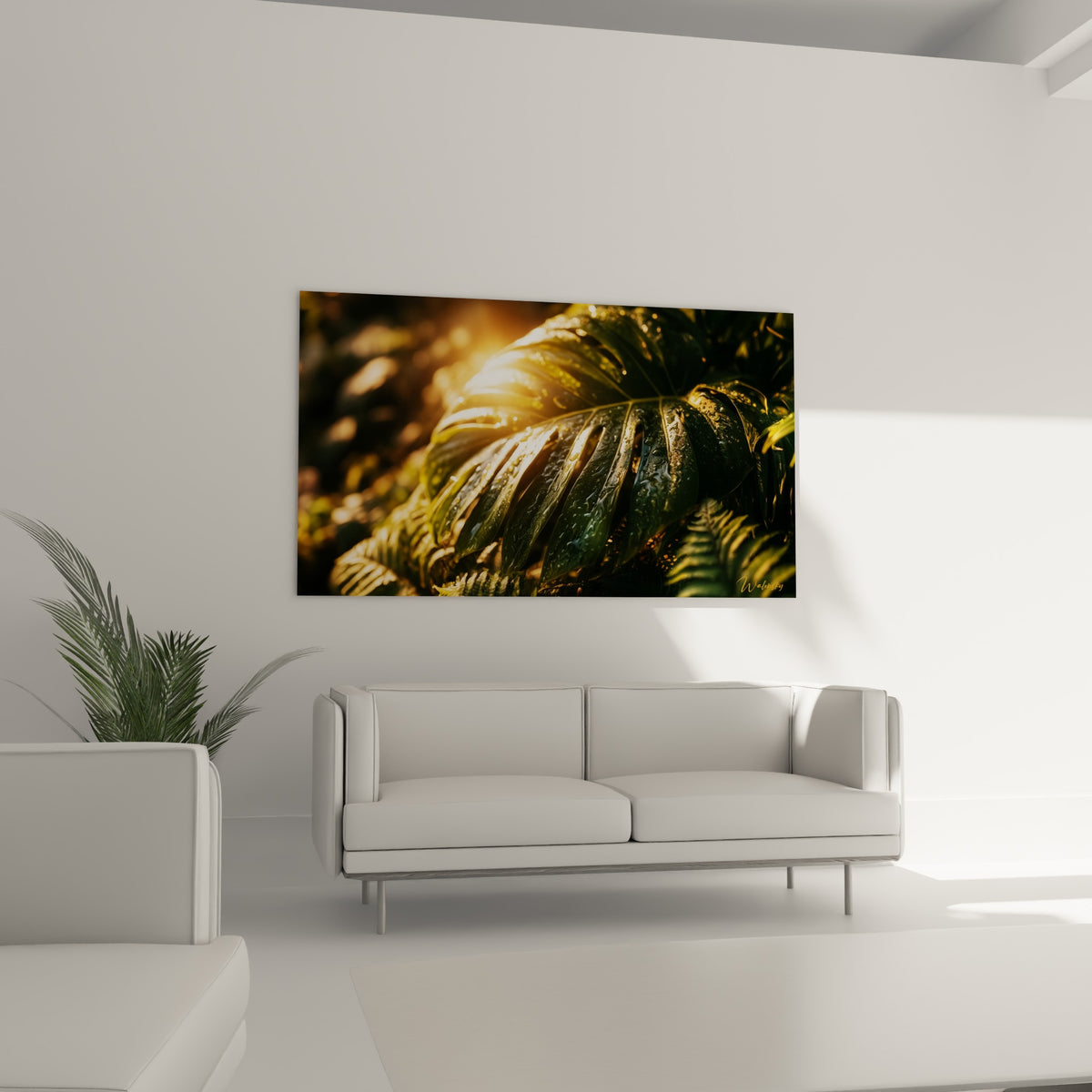 Monstera aux teintes vertes et ambrées, rosée scintillante, disposé au-dessus d'un canapé dans un salon lumineux