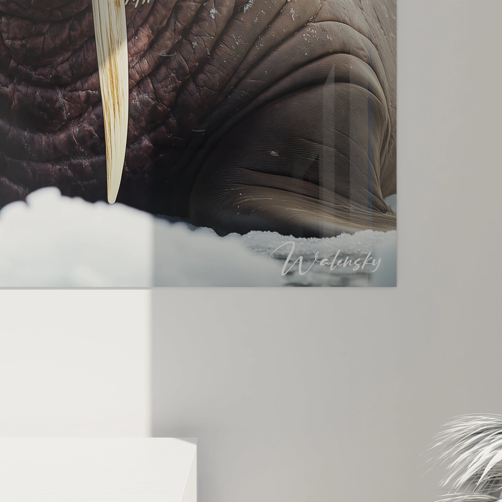 Un tableau morse naturaliste capturant un mammifère marin aux défenses imposantes sur la glace arctique. Combinaison de teintes brunes, beiges et grises pour l'animal sur fond bleuté. Détails précis des yeux, moustaches et rides caractéristiques.