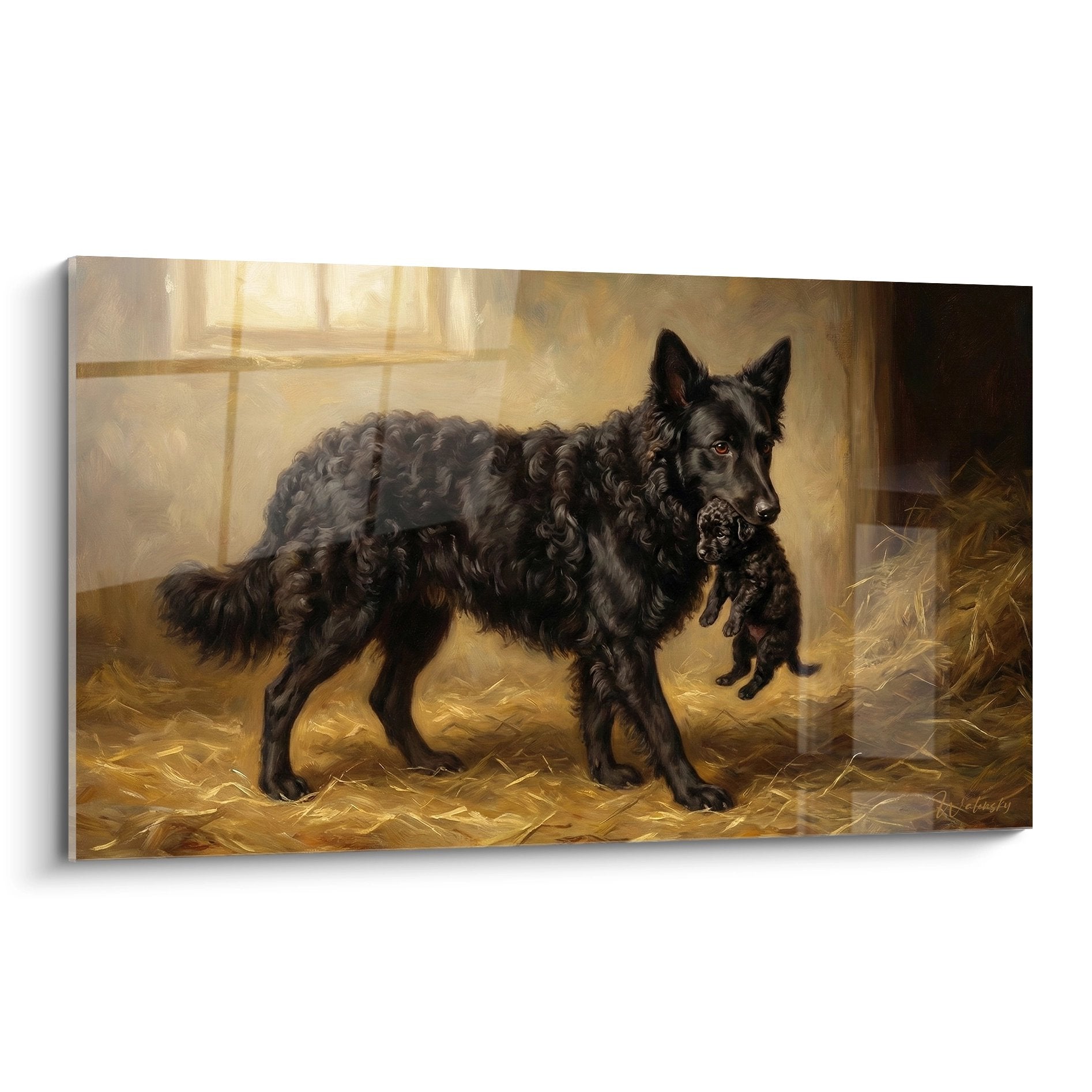 Black curly-haired Mudi dog holding puppy in barn with golden straw and natural light