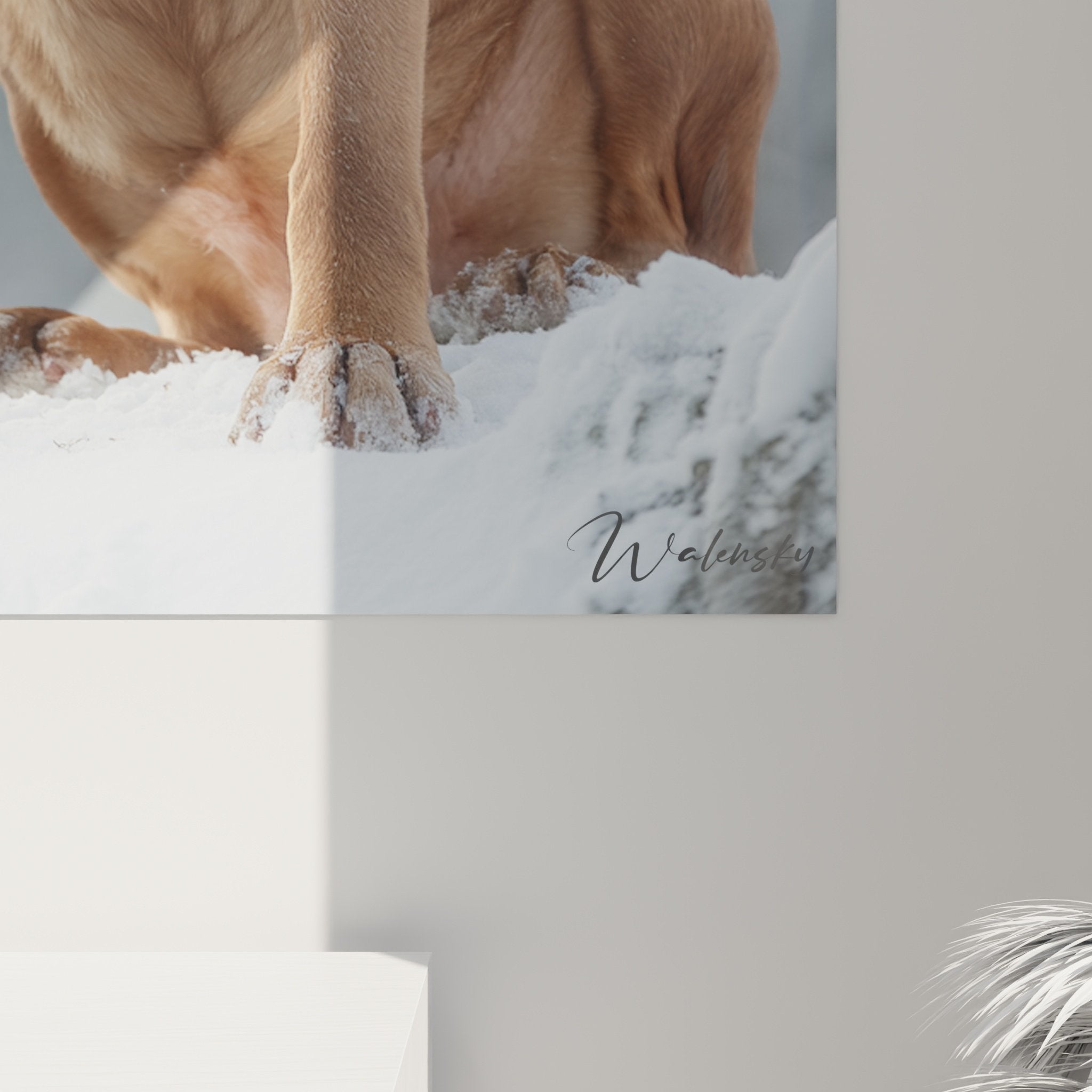 Übersicht Wandtafel Bordeaux Dogge, Winterporträt im zeitgenössischen Wohnzimmer, verfeinerte Dekoration