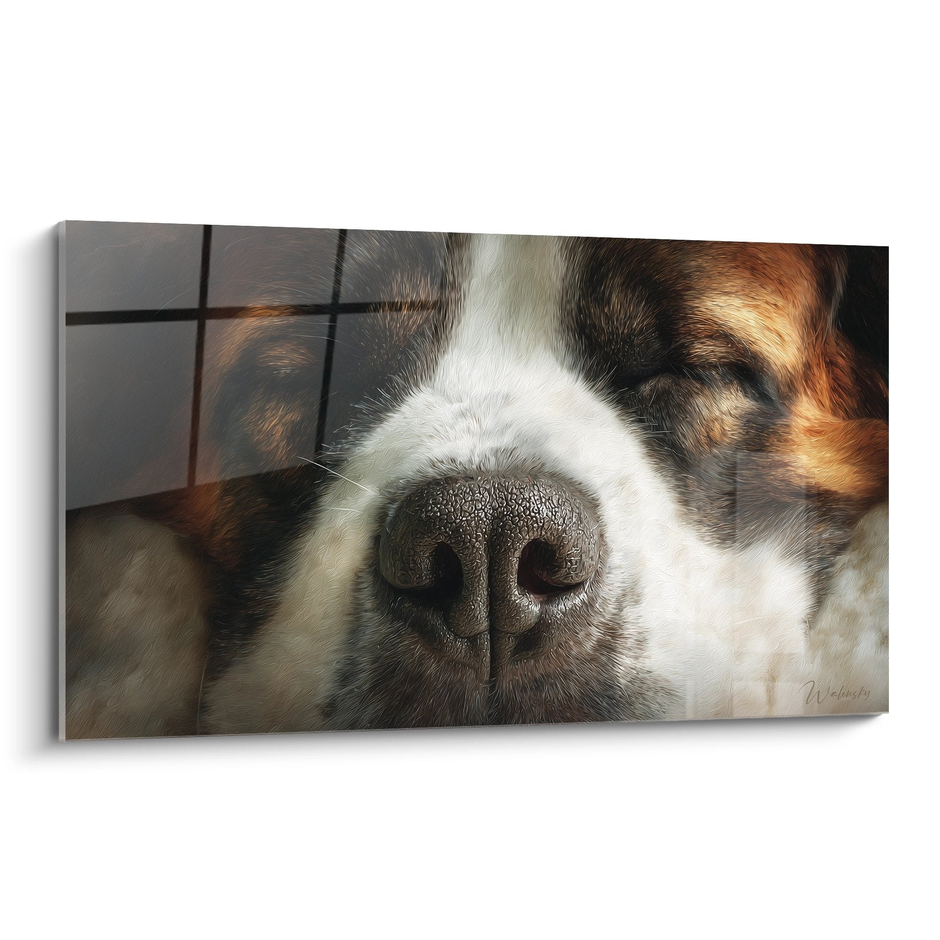 Gros plan artistique sur museau et truffe de Saint Bernard aux tons blanc brun et orange