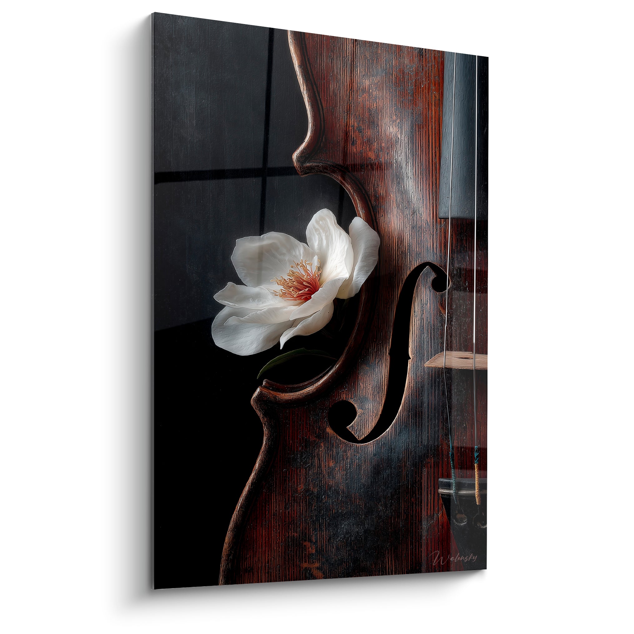 Violon acajou et fleur blanche : bois brun patiné, ouïes noires et pétales ivoire délicats