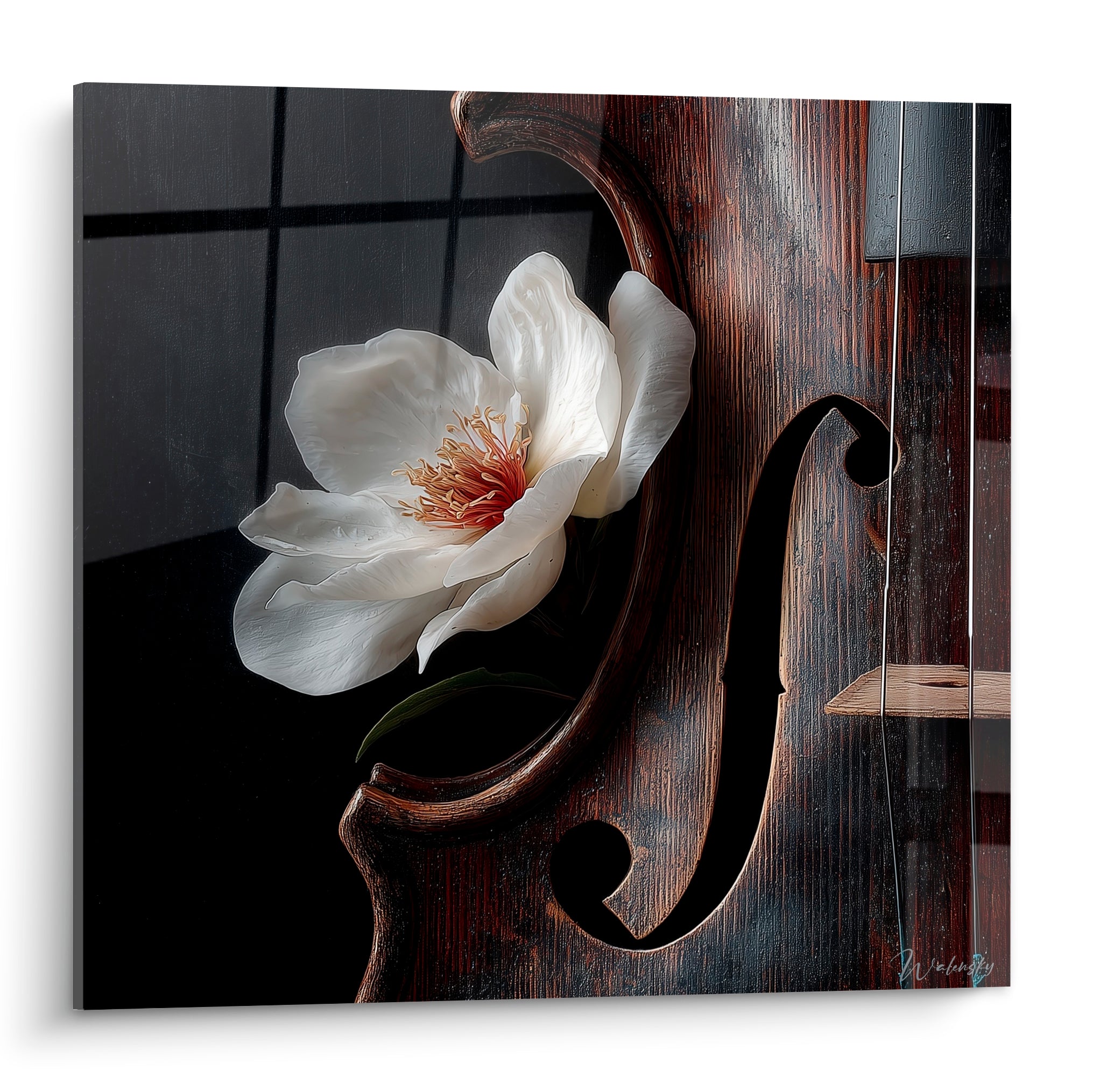 Pivoine blanche aux étamines dorées posée sur un violon acajou, fond anthracite strié en arrière-plan