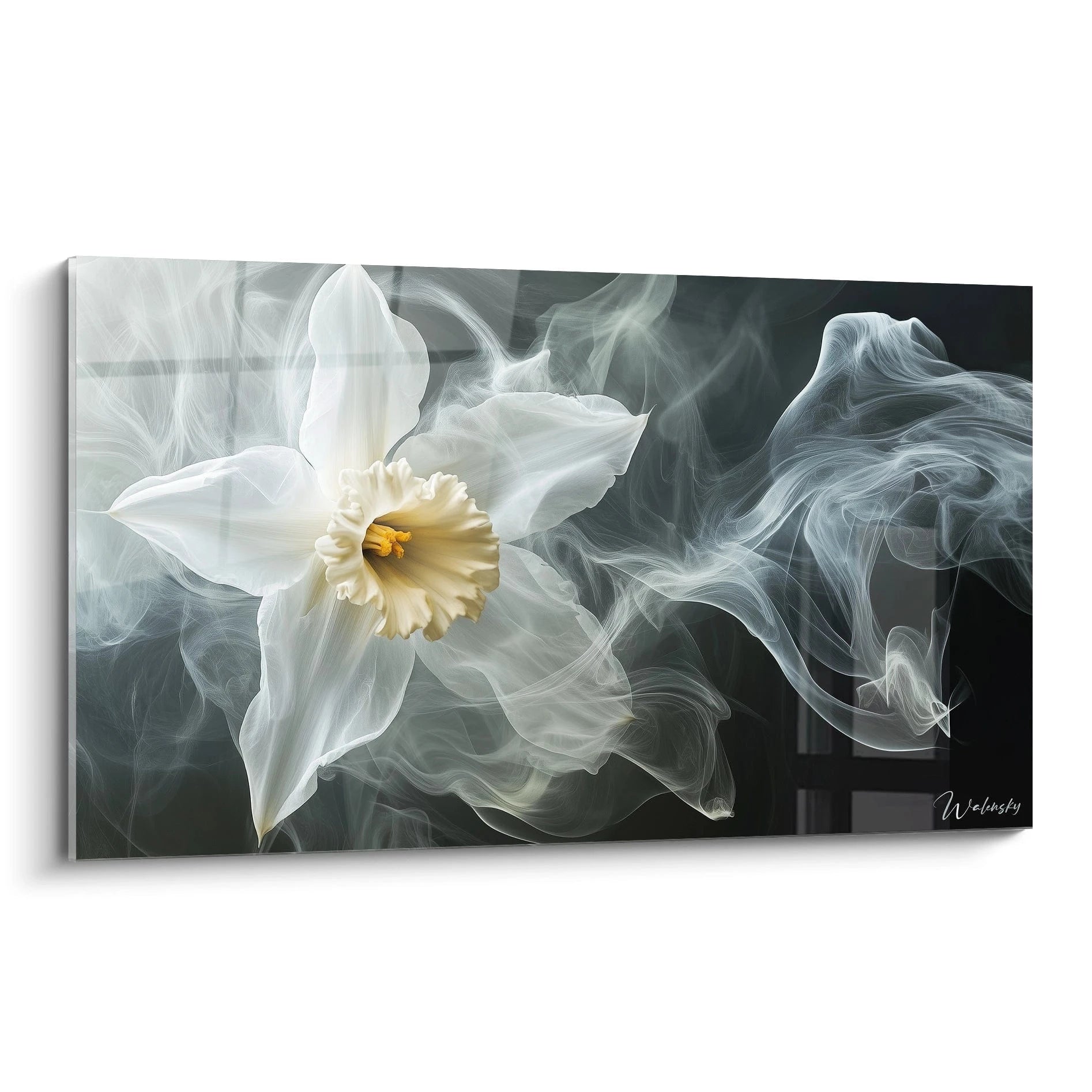 Un tableau Narcisse nature représentant une fleur blanche aux pétales translucides, entourée de volutes grises sur fond sombre, créant un effet de légèreté et de fluidité dans la composition.